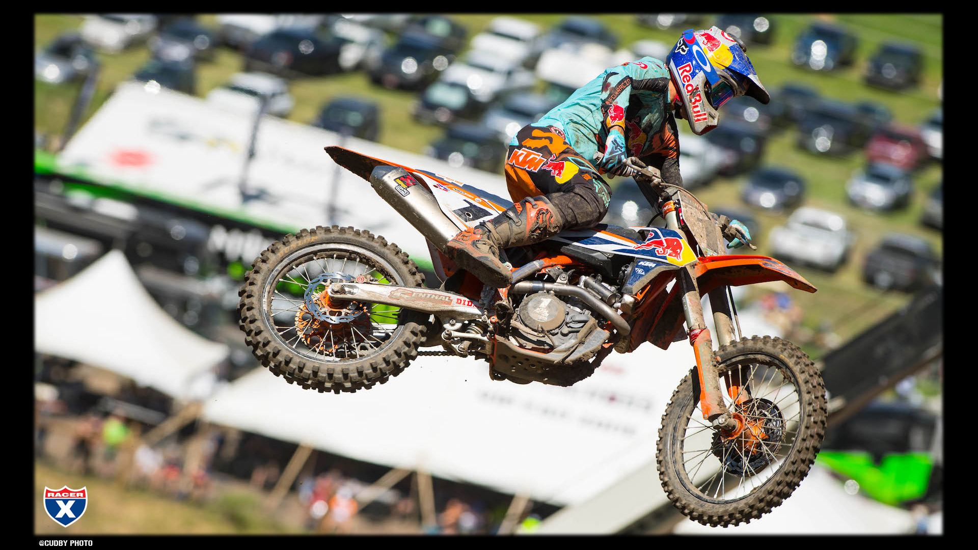 Dungey