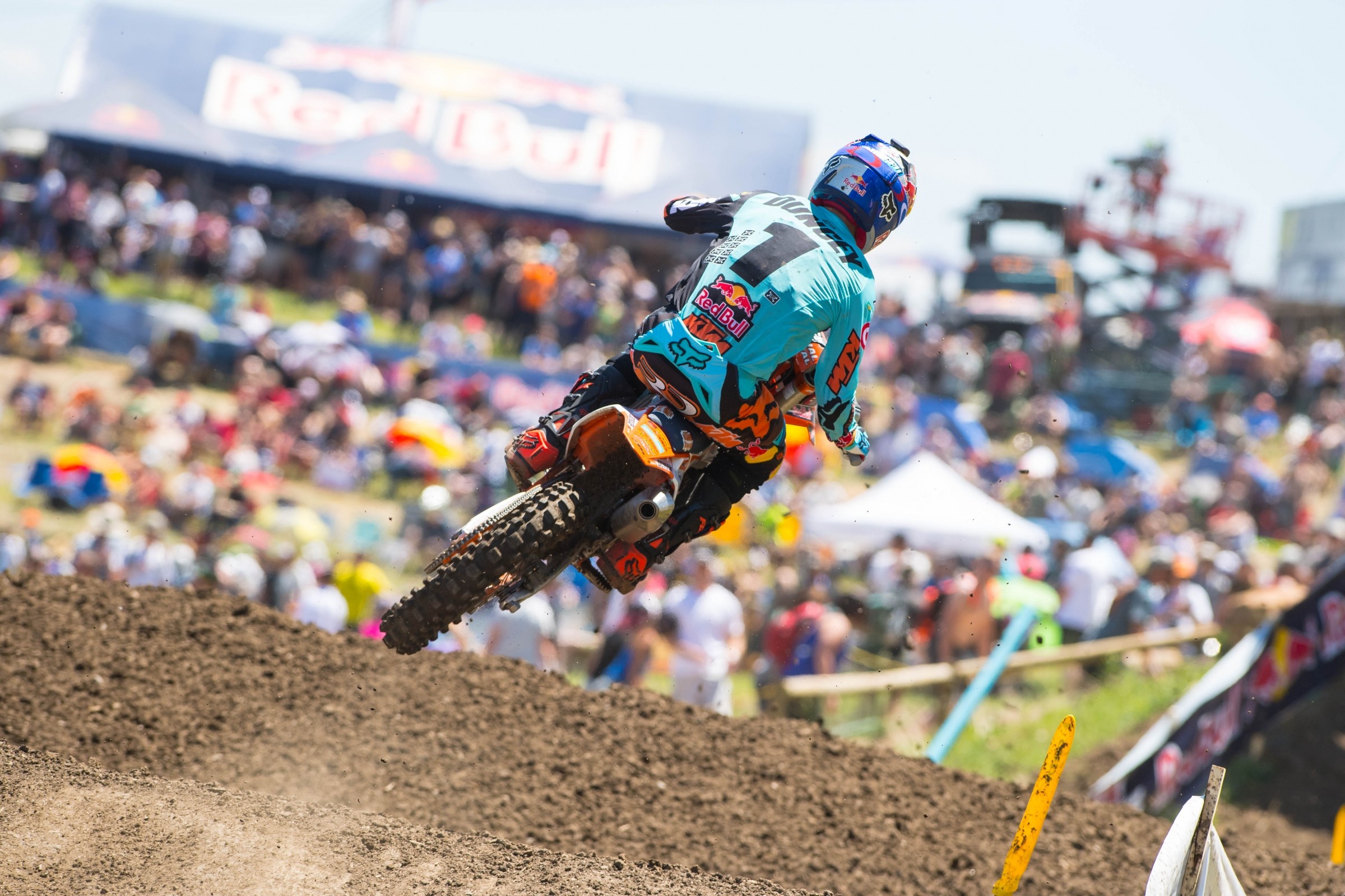 450 Words: Checked Out