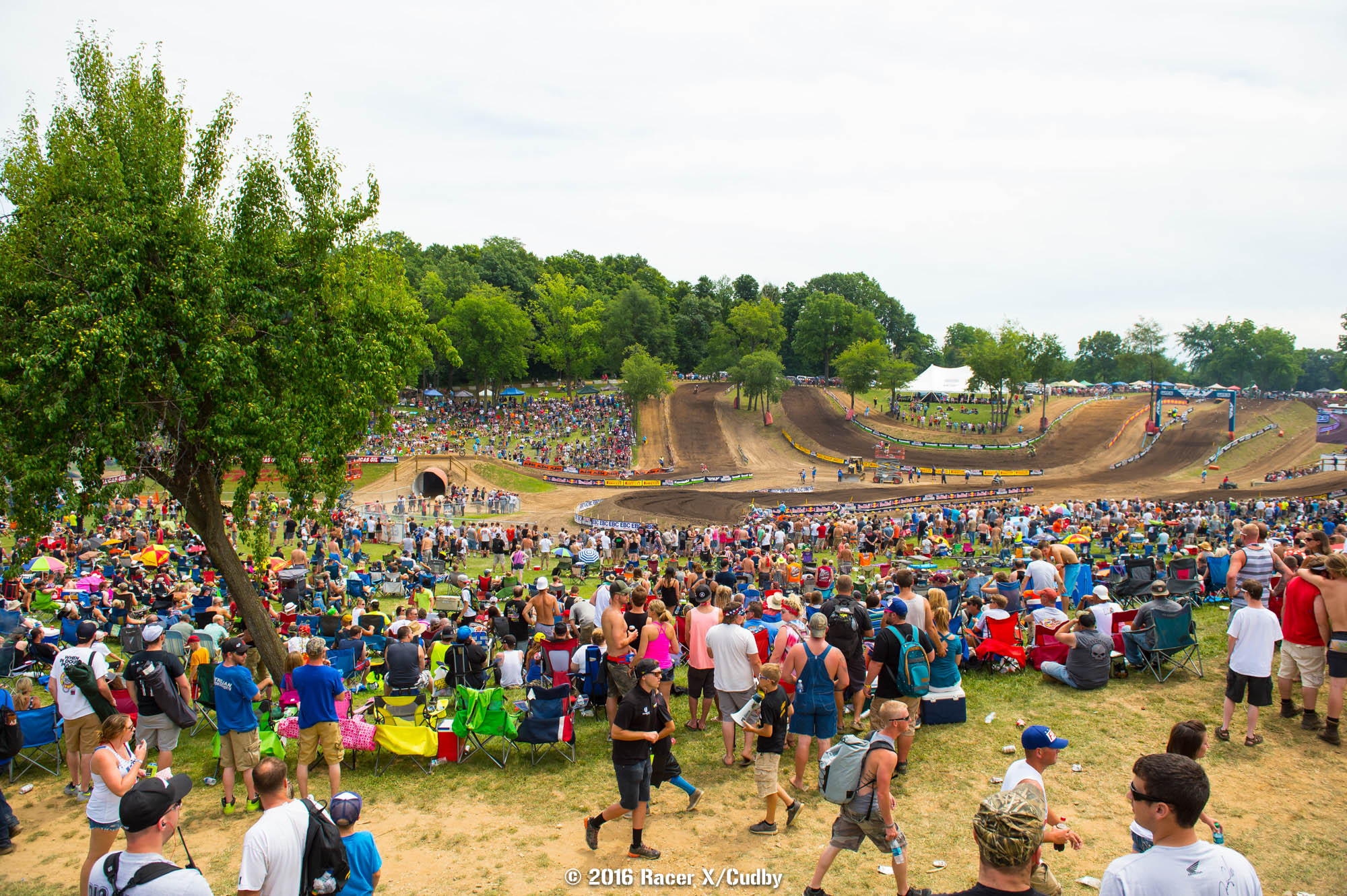 Misc-RedBudMX16-Cudby-249