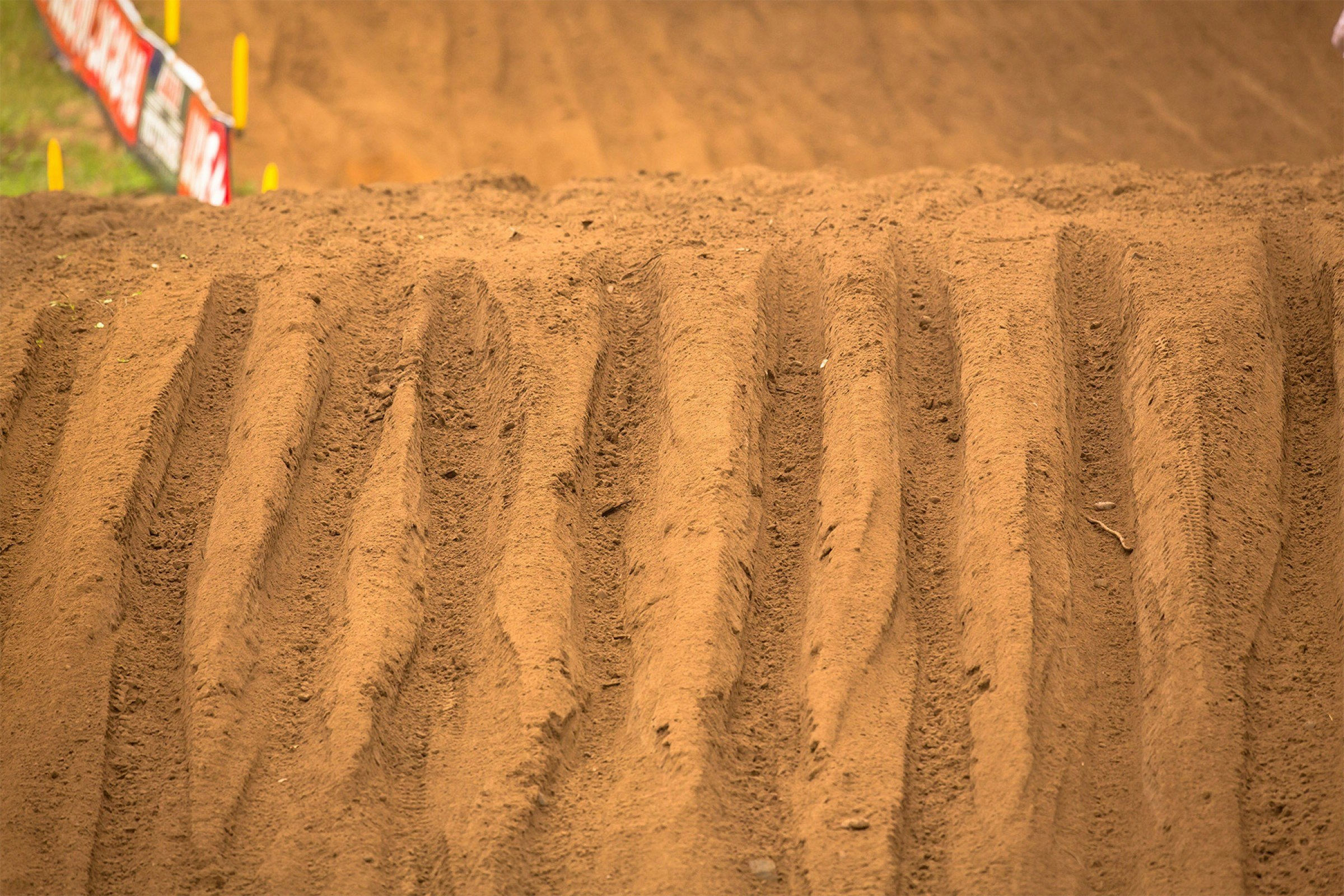 A Dog's World: Southwick