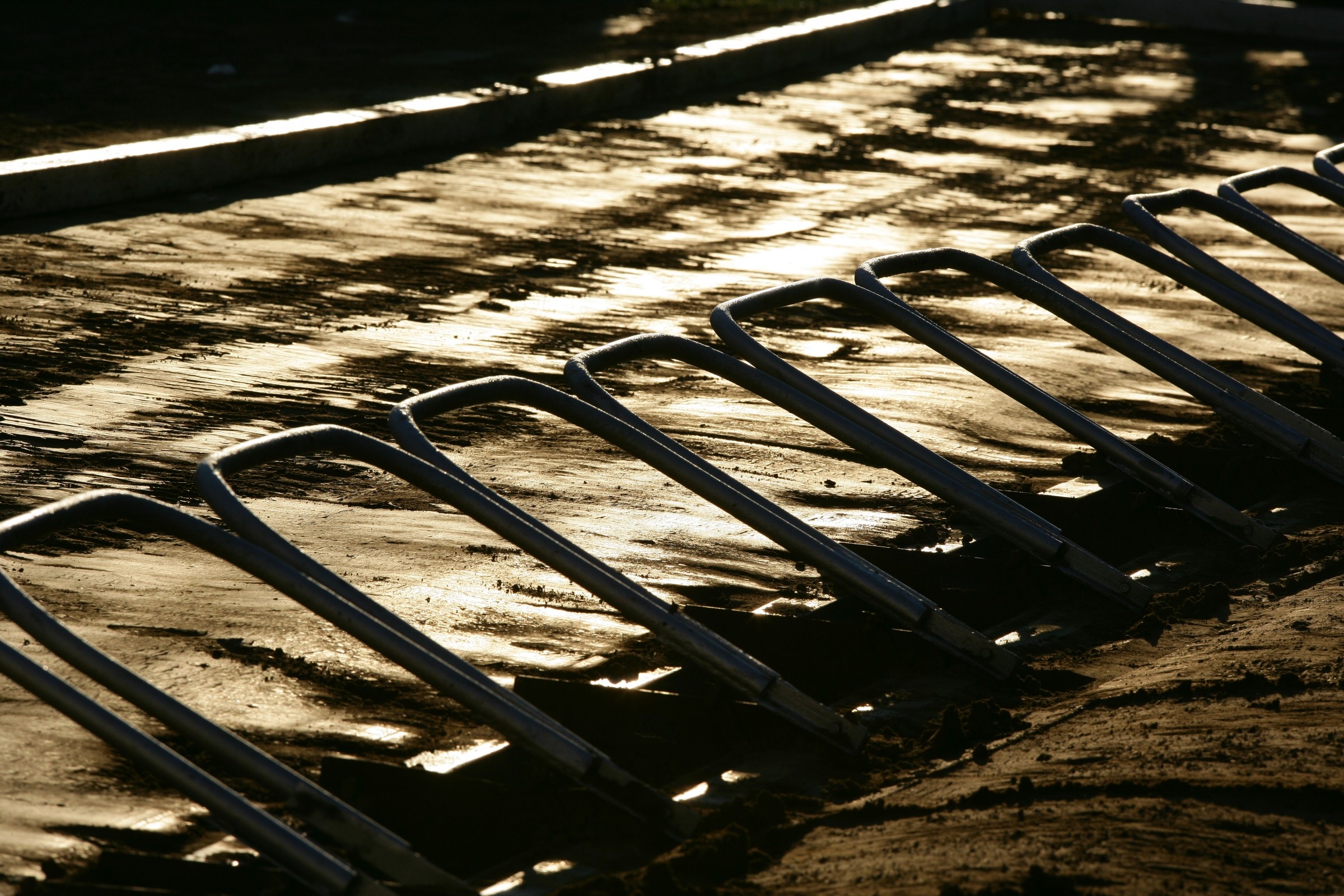 Race Day Feed: Millville