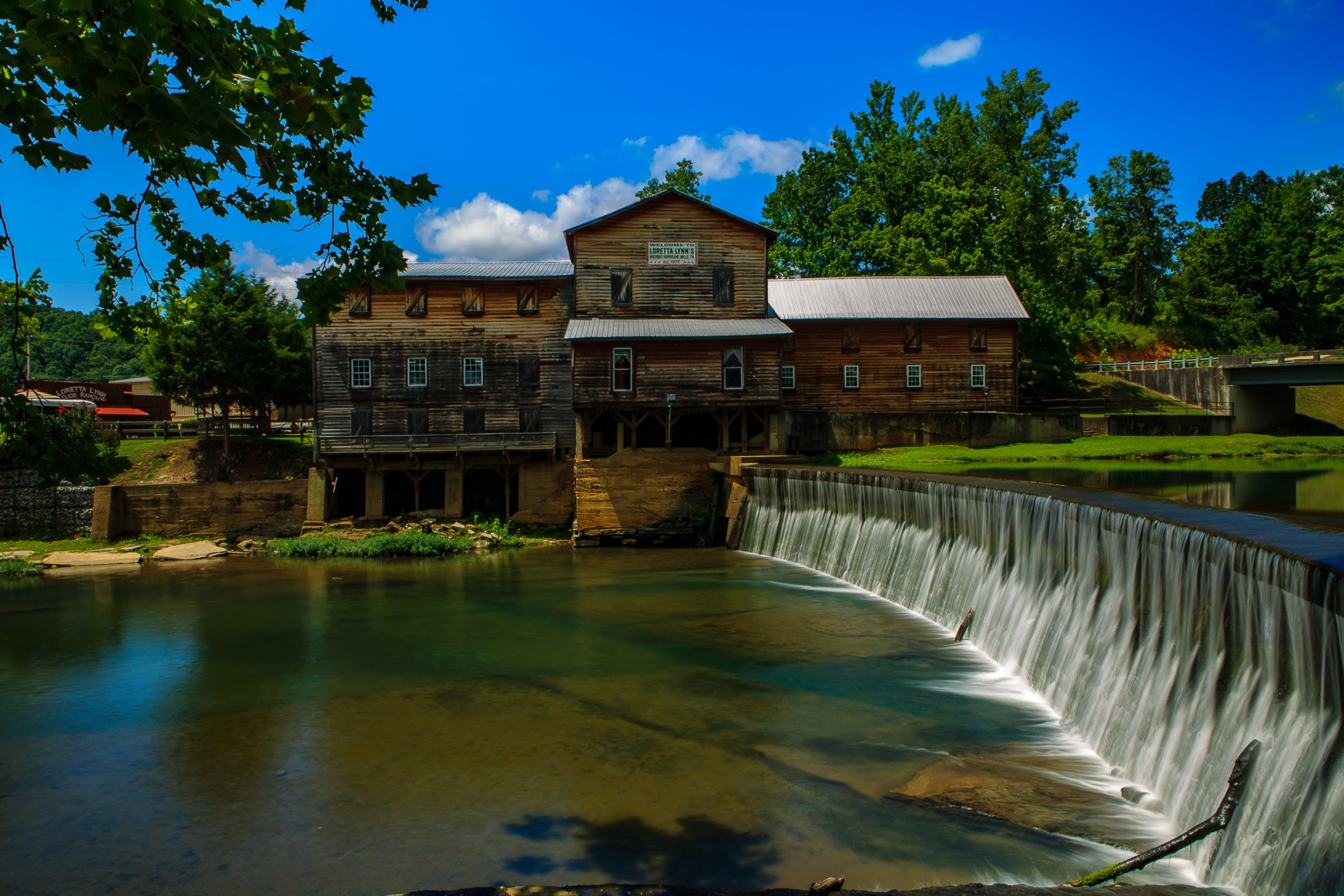 How to Watch: Loretta's, Thursday