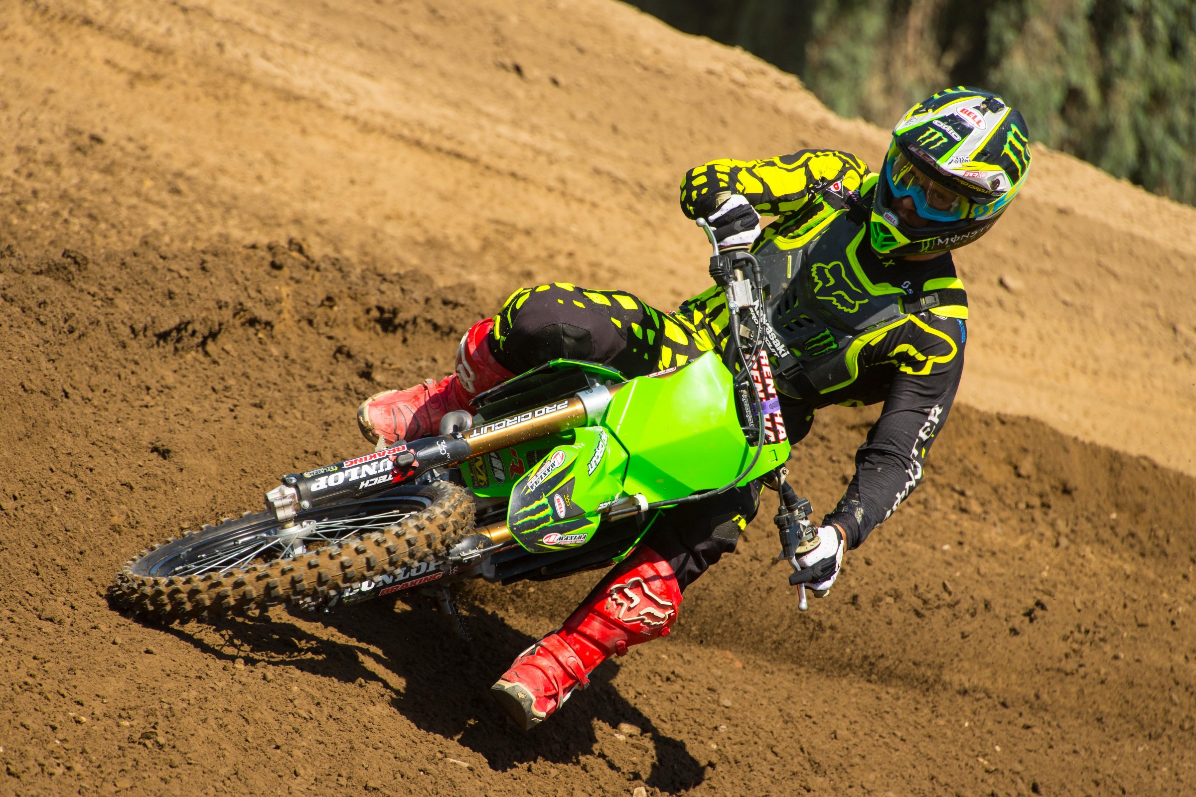 Tonus-Milestone8-31-Cudby-001