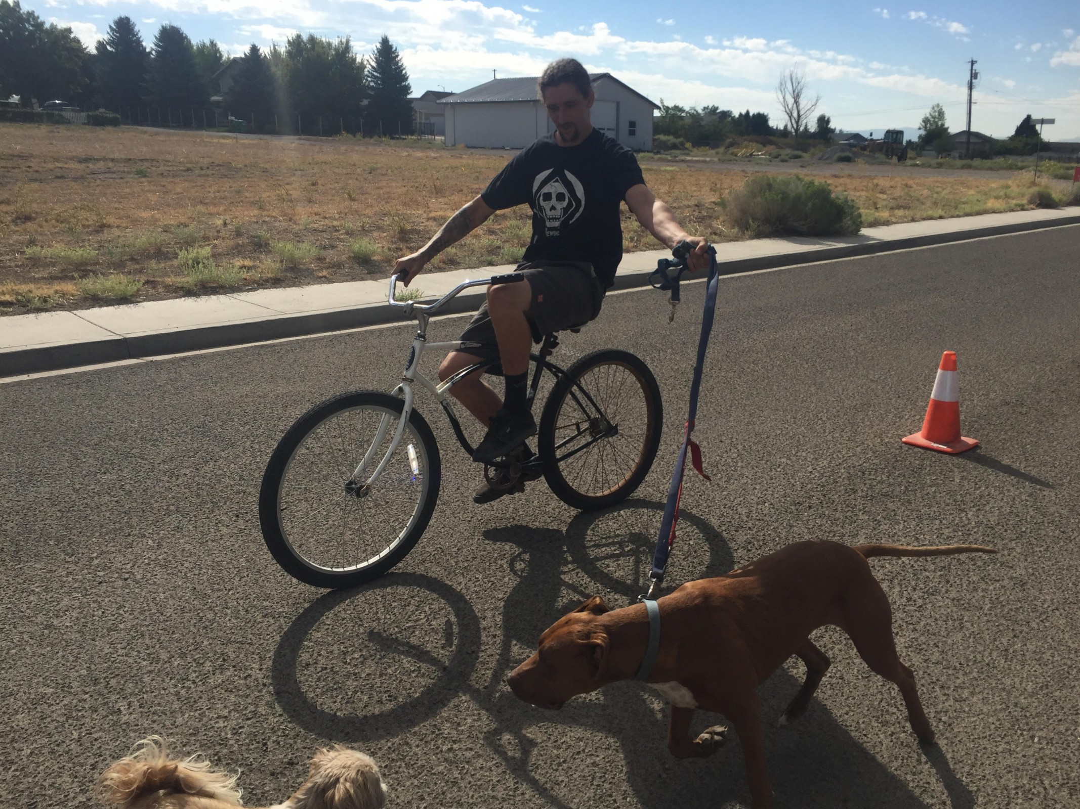 Swan and Apollo take a spin.