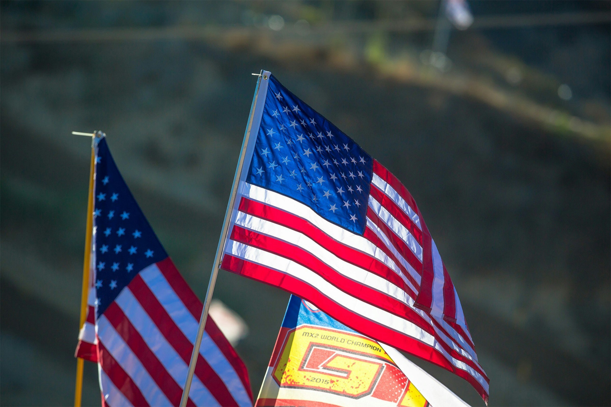A Dog's World: Glen Helen USGP