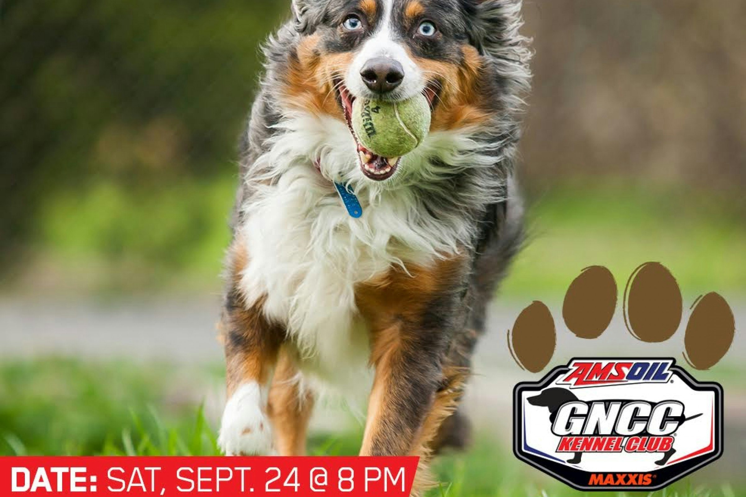 Mowgli Memorial Dog Show at Mountaineer Run GNCC