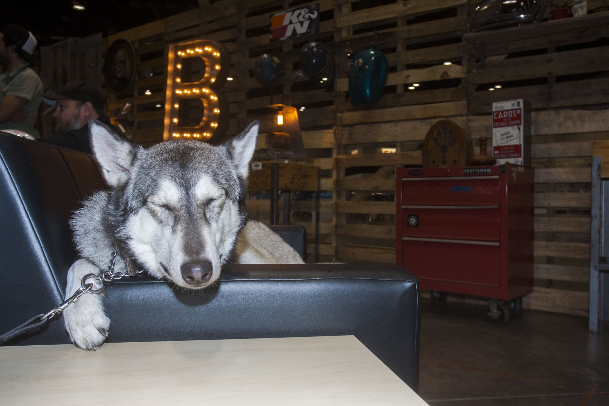 Roberts-16_AIMExpo_Thursday-239