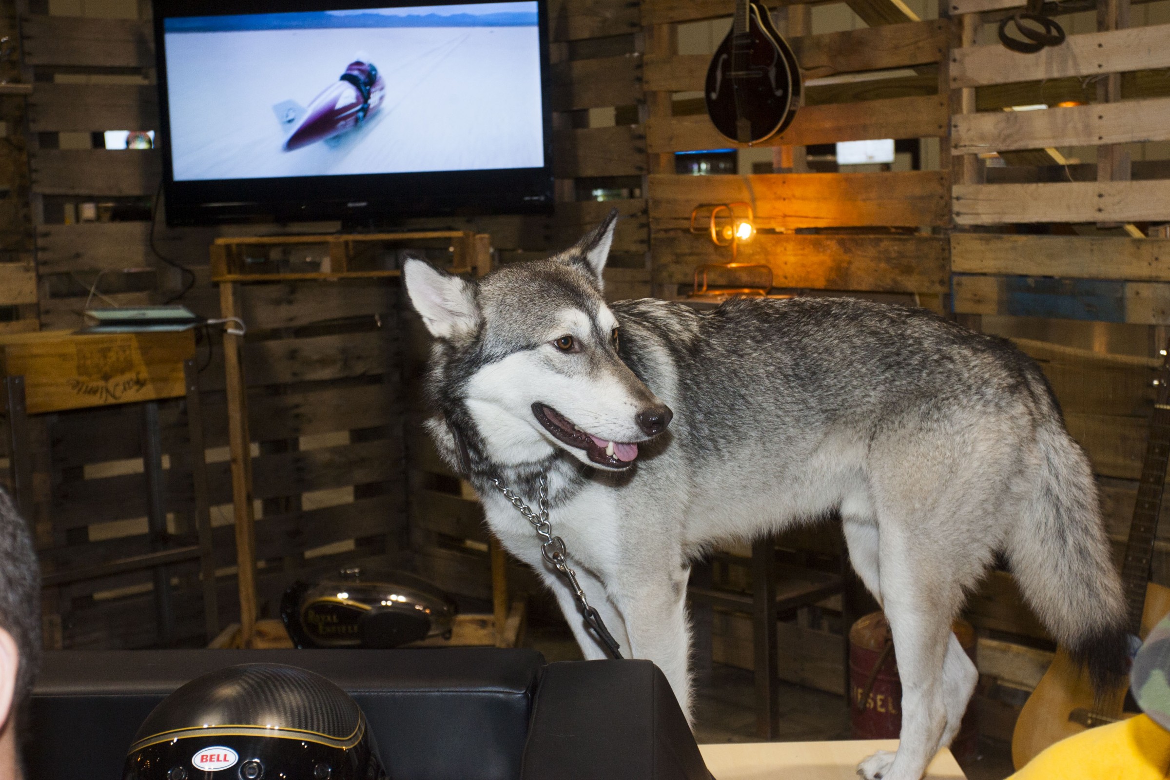 Roberts-16_AIMExpo_Thursday-238