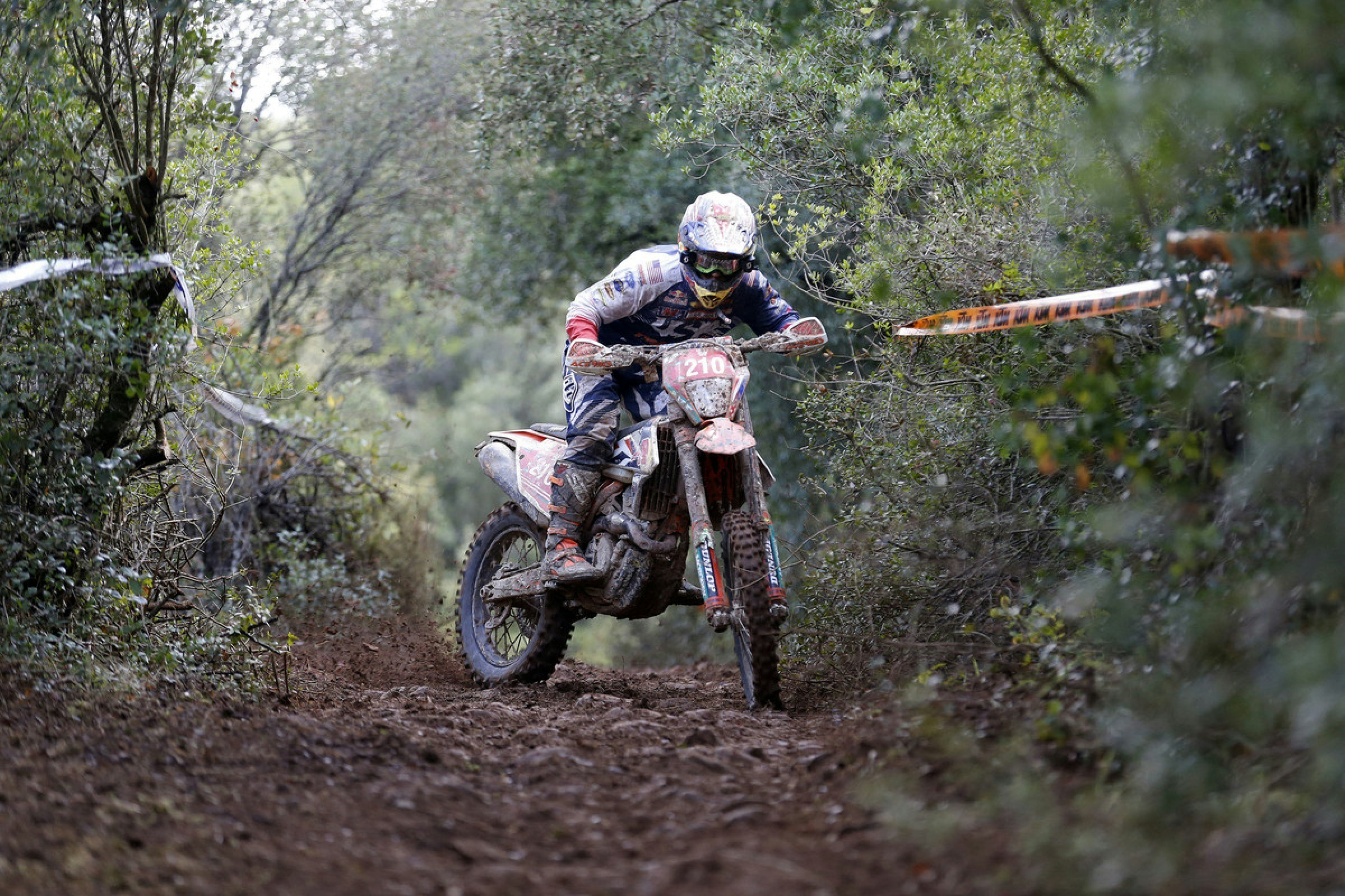 Ryan Sipes' ISDE Update: U.S. Holds onto Lead after Day 4