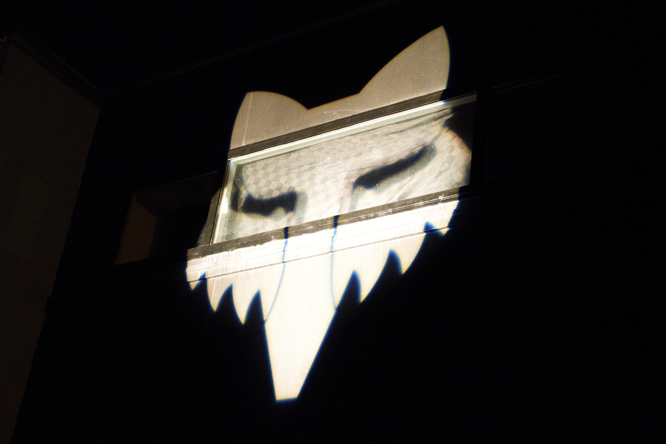 2017-01-04_kscott_Fox-Shift_16