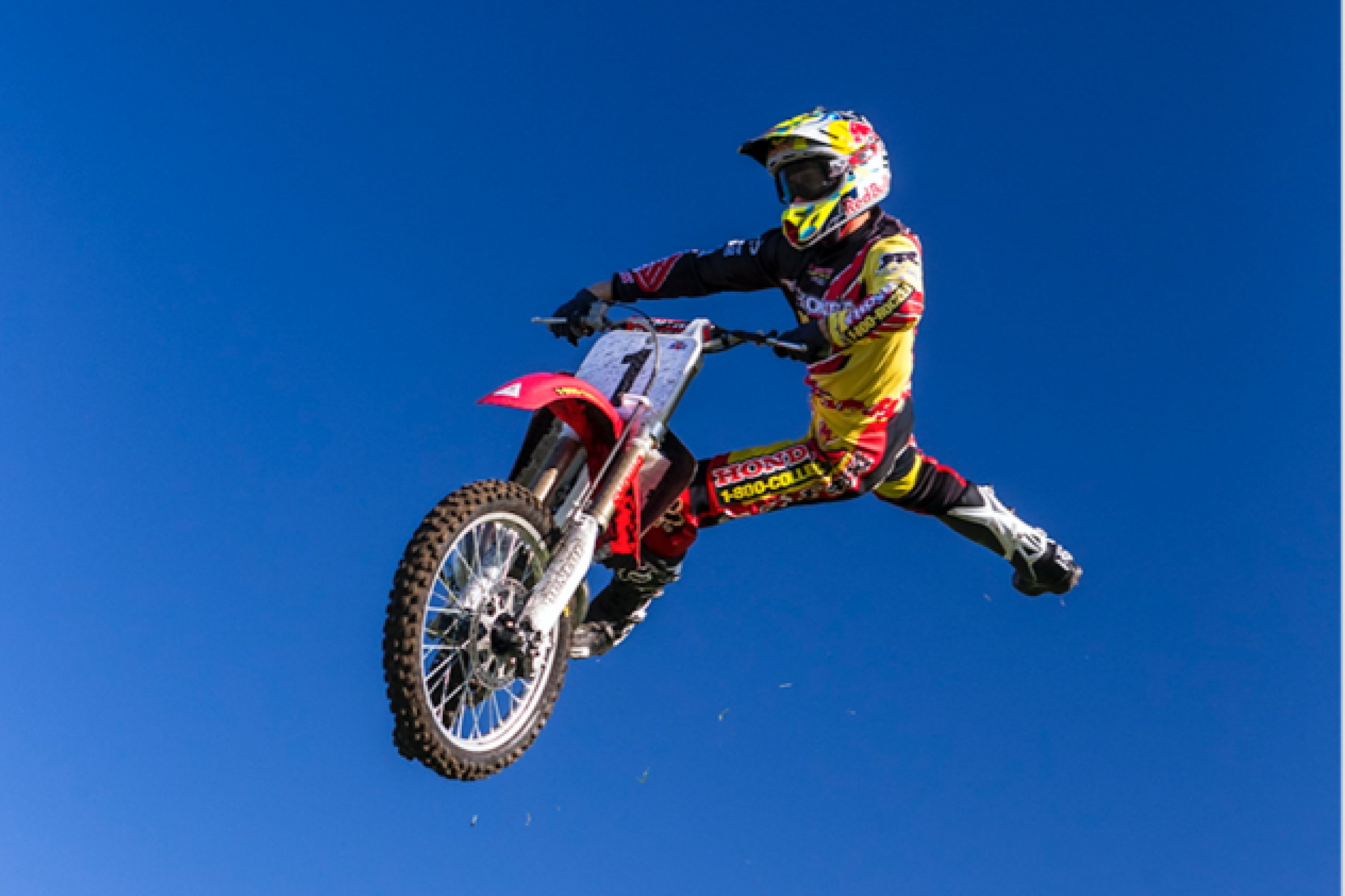 Go Behind the Scenes of Terrafirma94