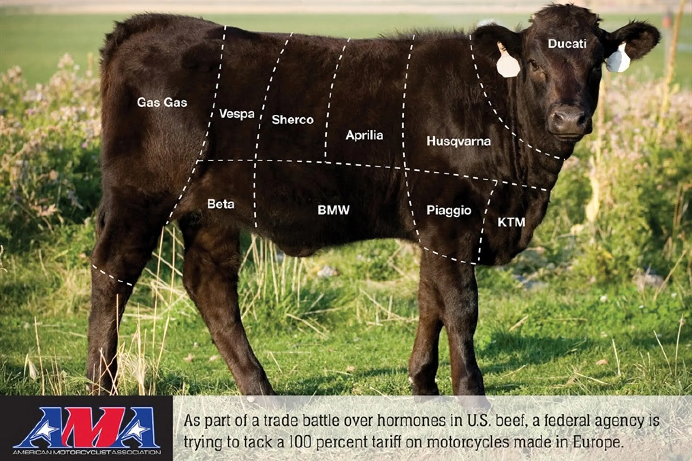 Federal Trade Agency Proposes Higher Import Fees on European Motorcycles