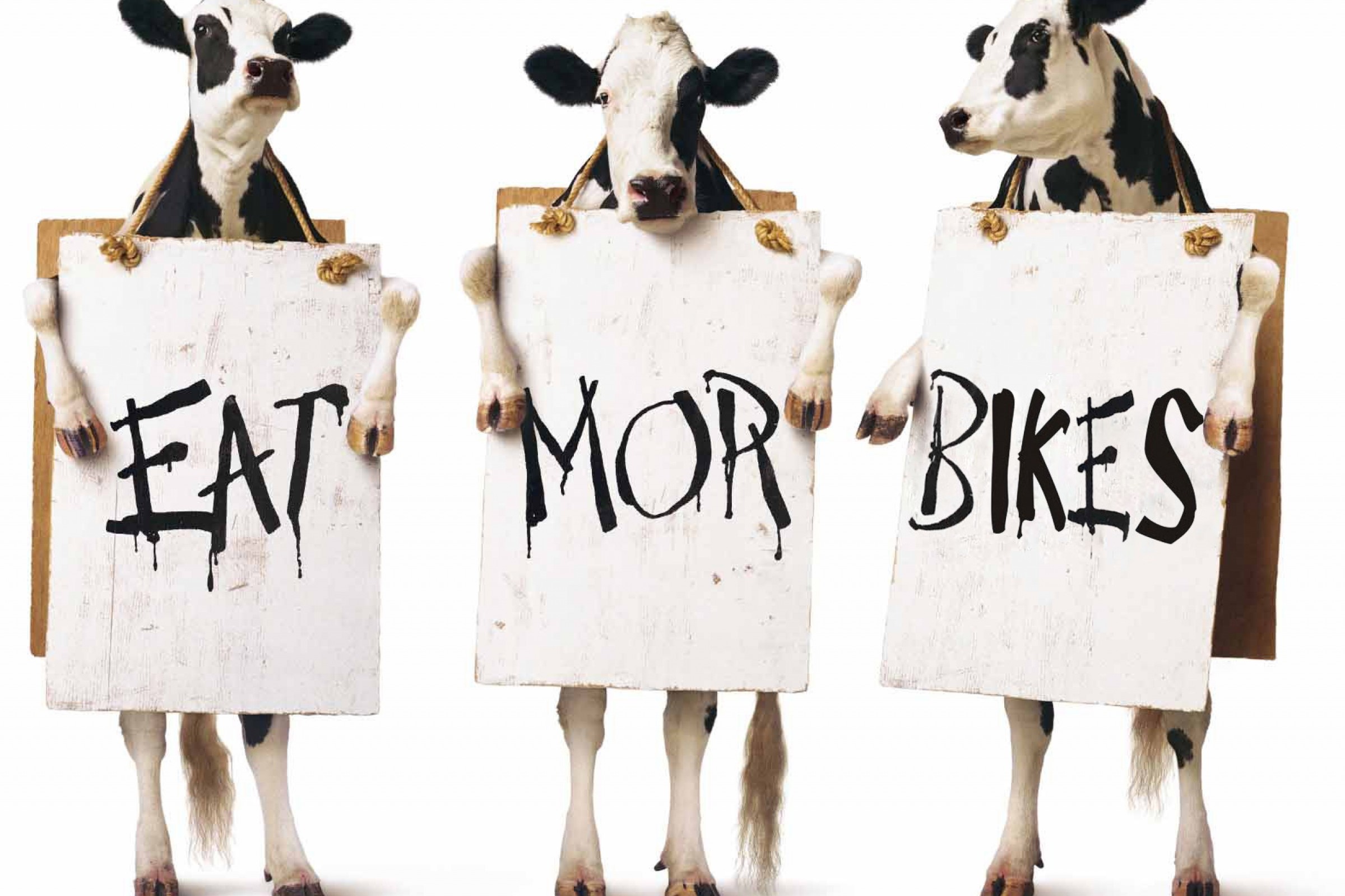 Gramma and Ginga #NoBikesforBeef [Update]