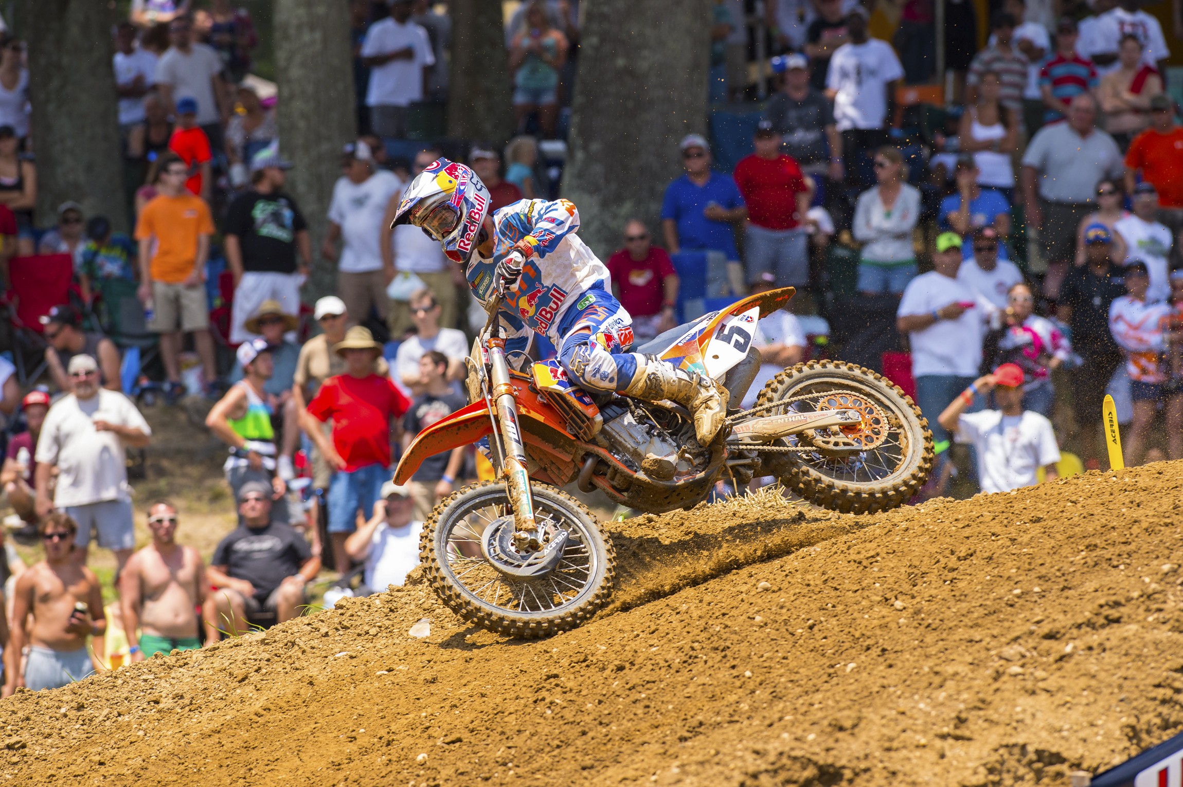 Dungey-BuddsCreek2014-Cudby-077