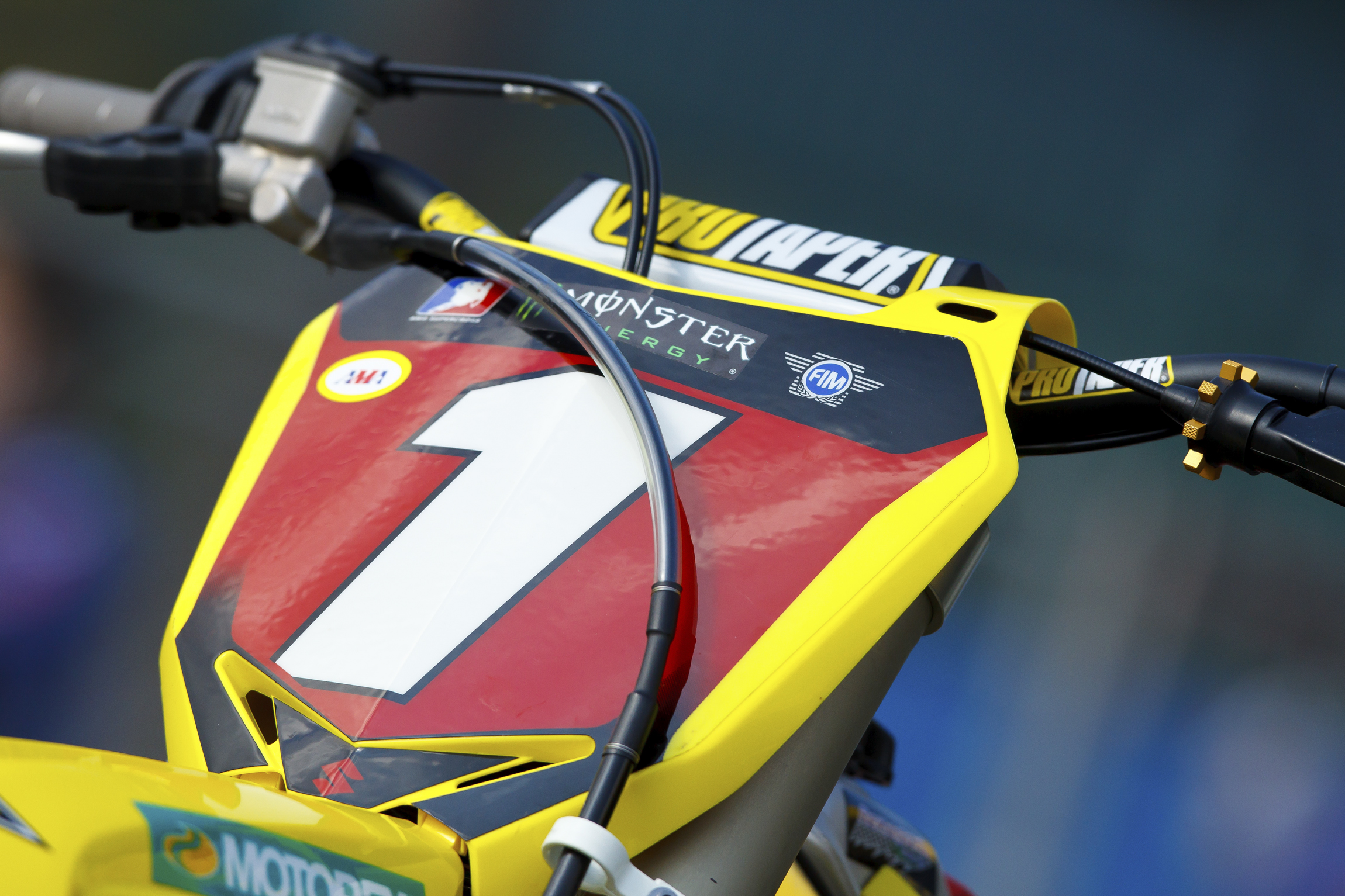 Dungey-Anaheim1SX2011-Cudby088