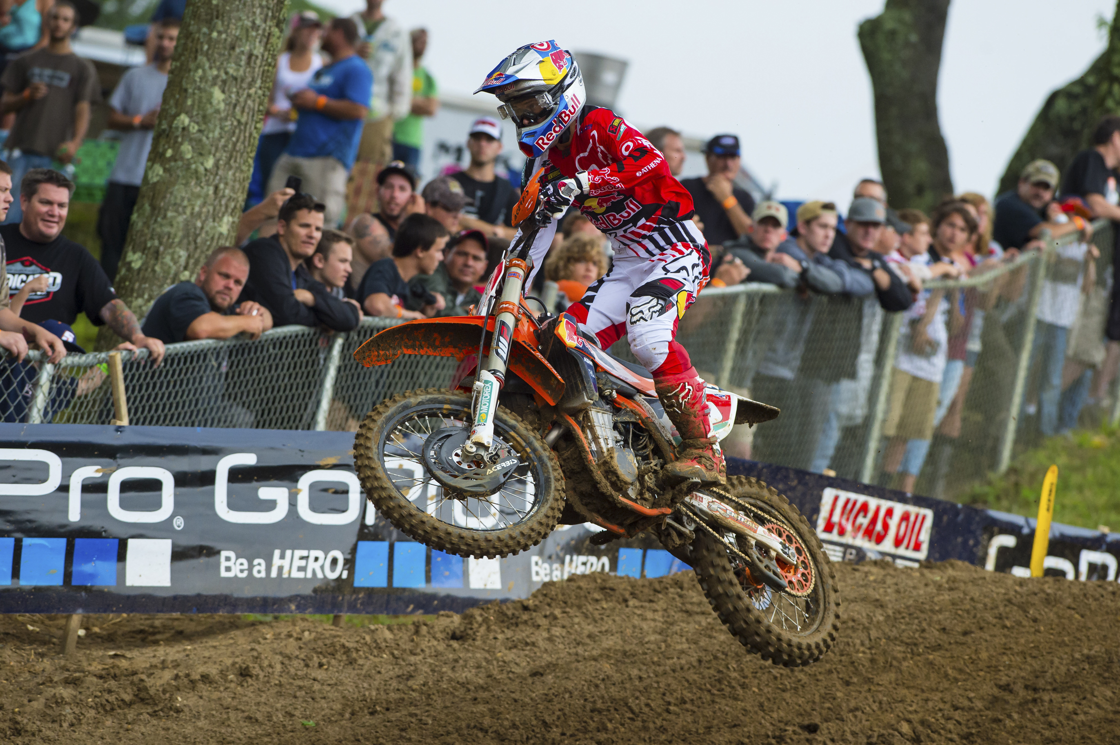 Dungey-BuddsCreek2015-Cudby-142