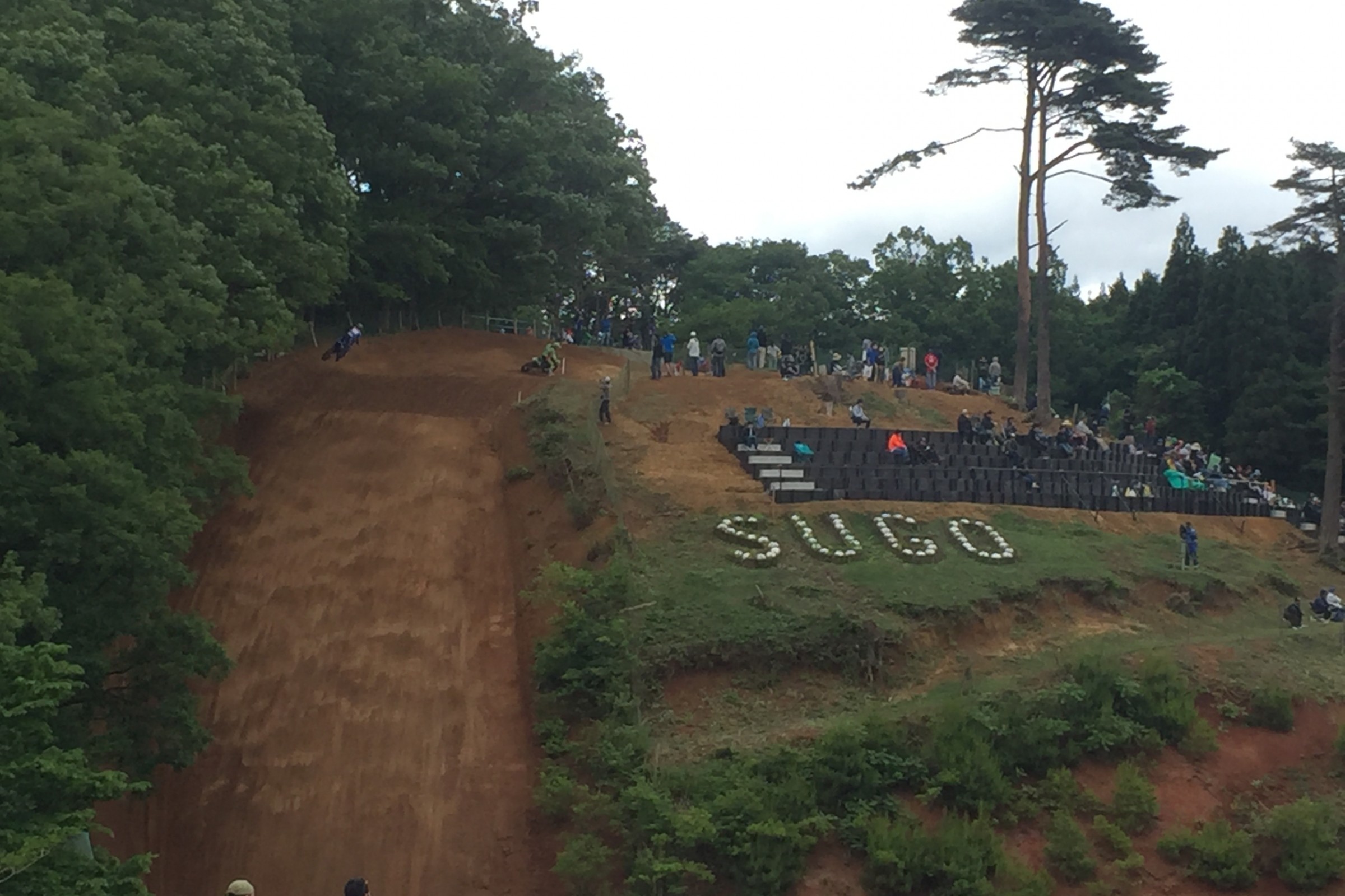 250 Words: JT Goes to Japan