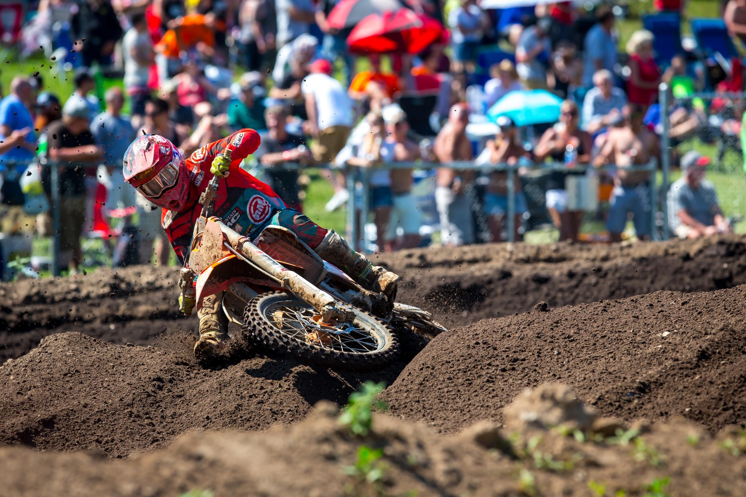 Redux: RedBud