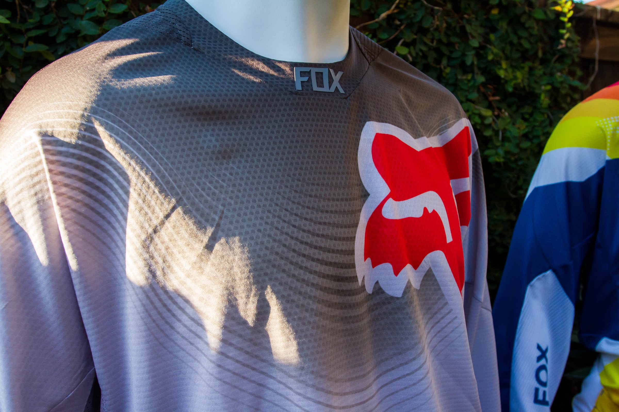 2017-07-25_kScott_Fox-Zaca_33_web