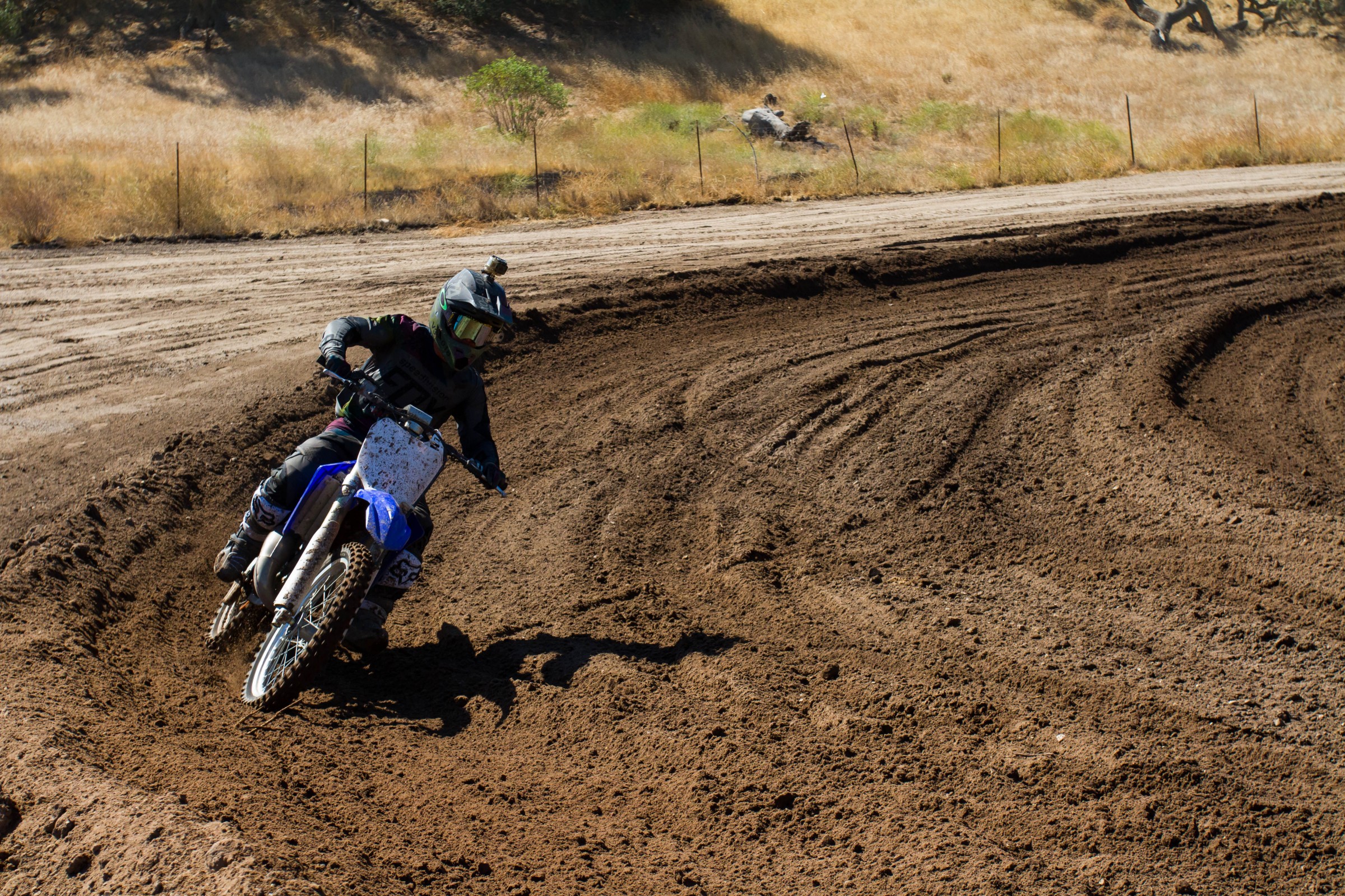 2017-07-25_kScott_Fox-Zaca_51_web