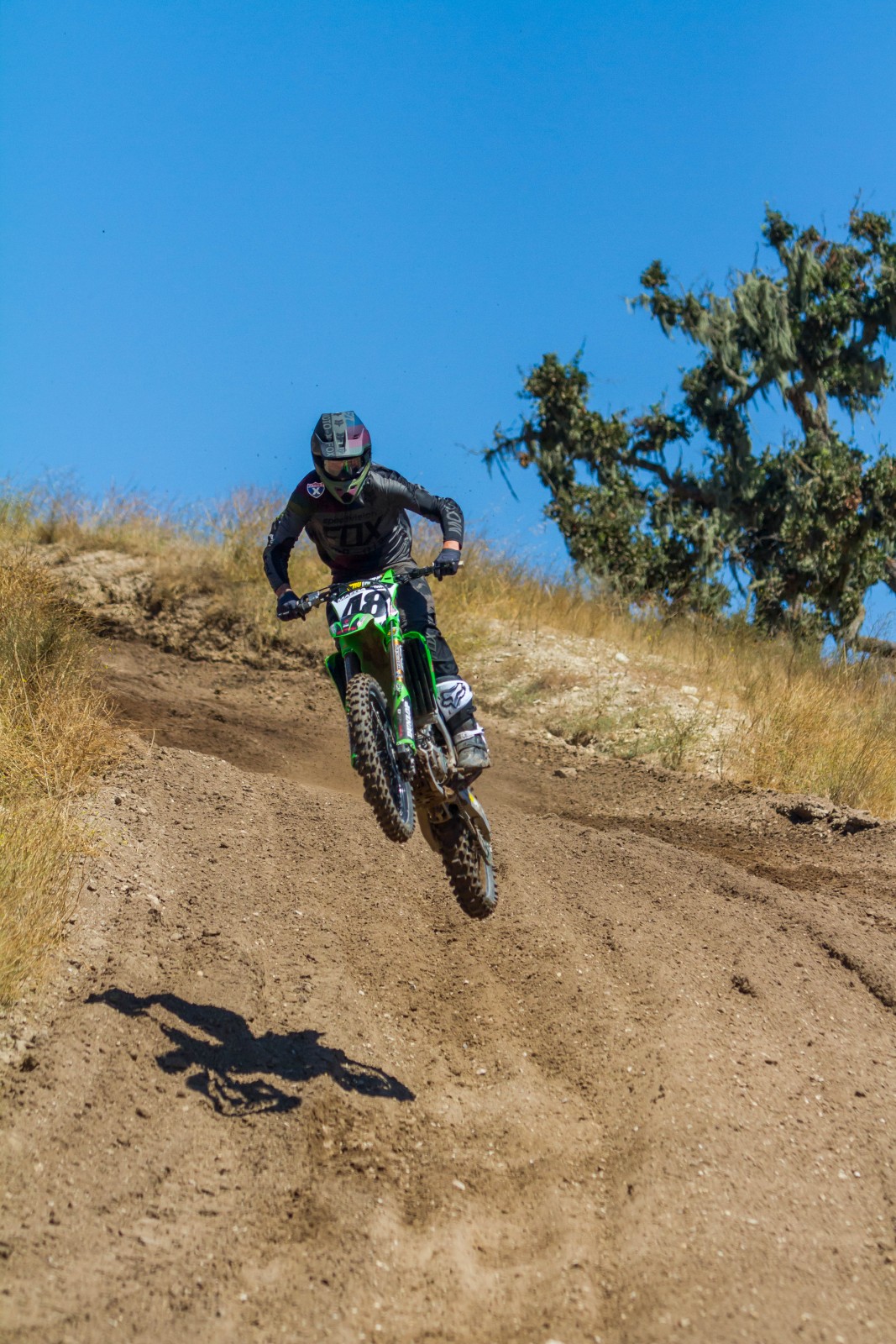 2017-07-25_kScott_Fox-Zaca_83_web