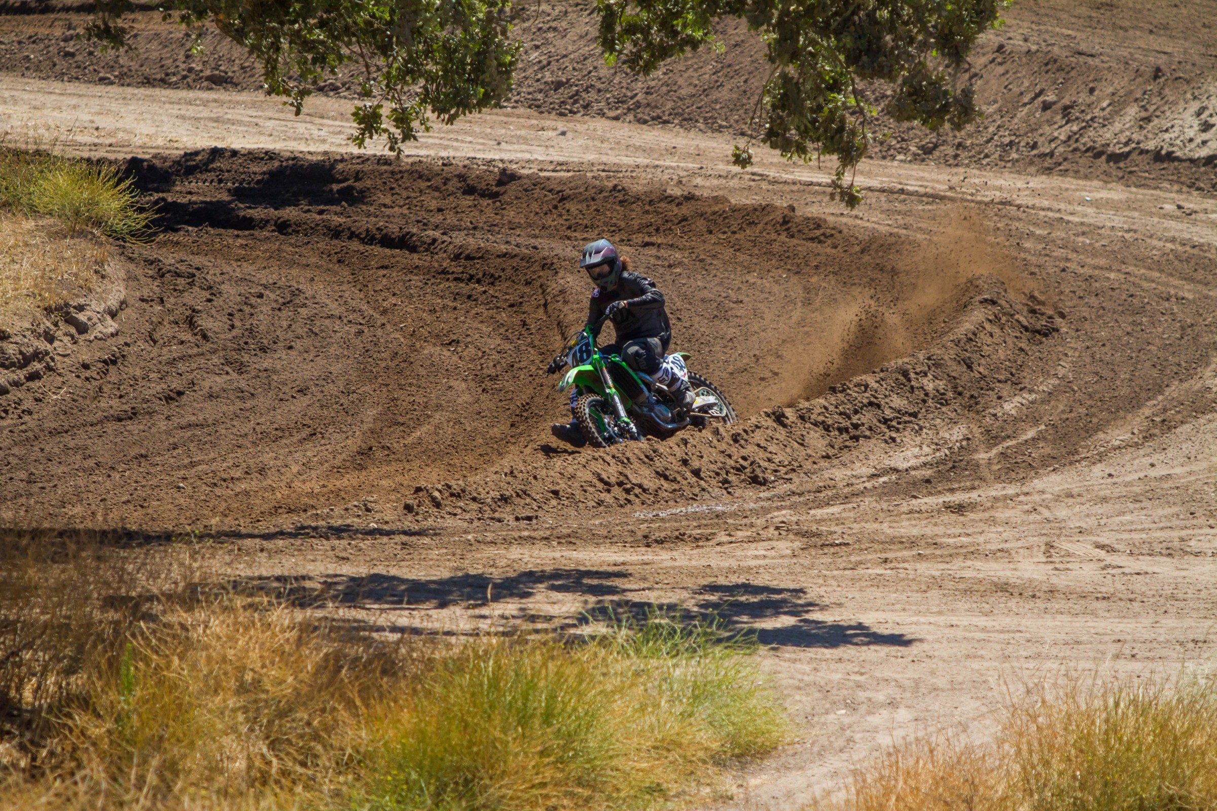 2017-07-25_kScott_Fox-Zaca_85_web