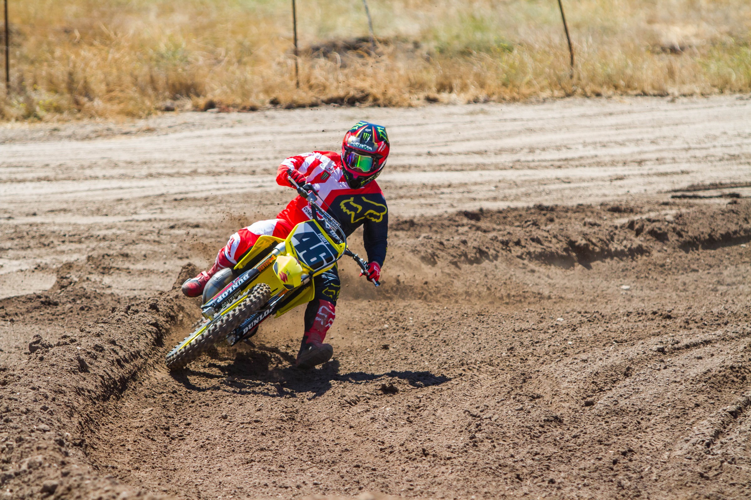 2017-07-25_kScott_Fox-Zaca_91_web