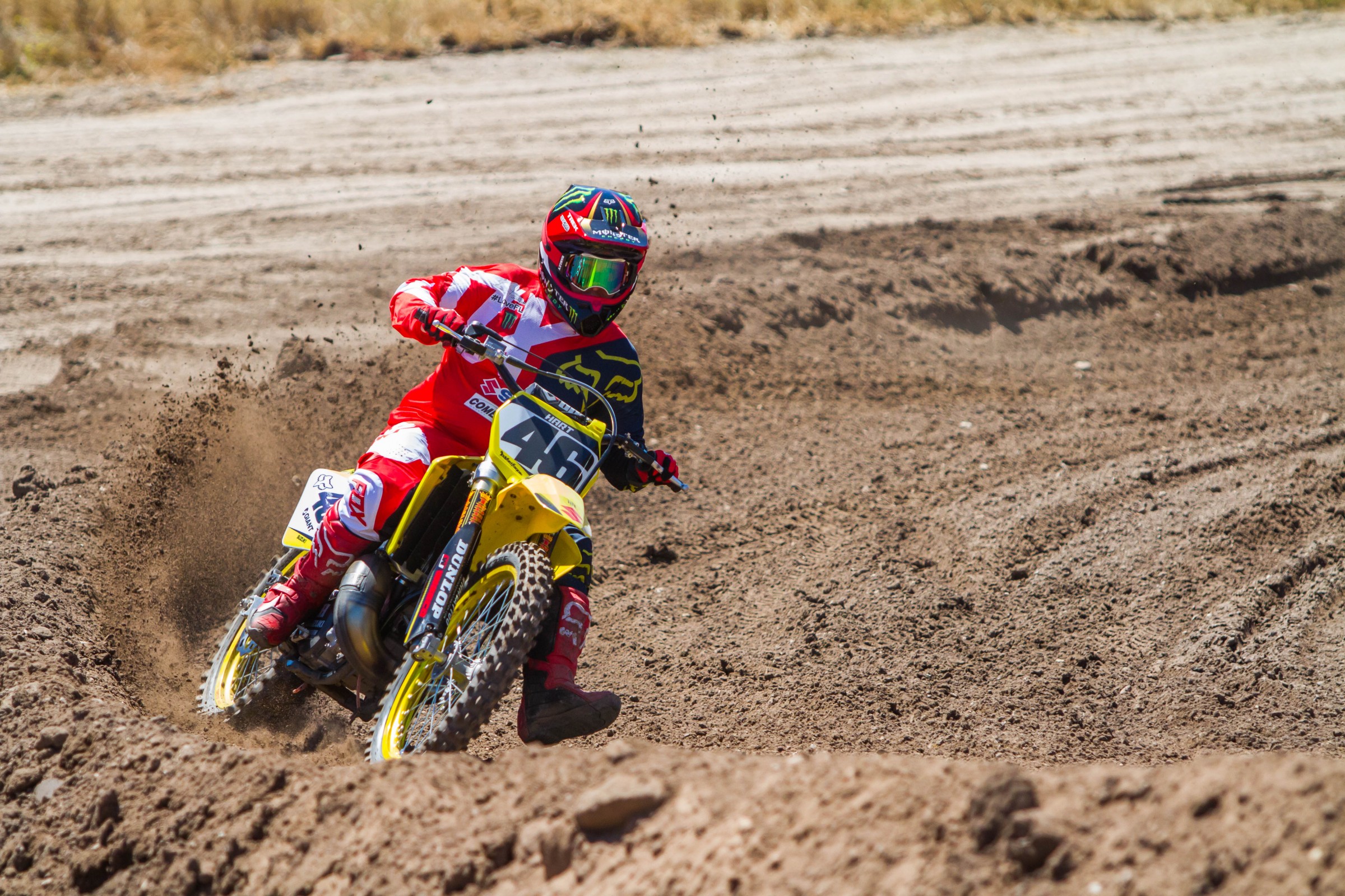 2017-07-25_kScott_Fox-Zaca_92_web