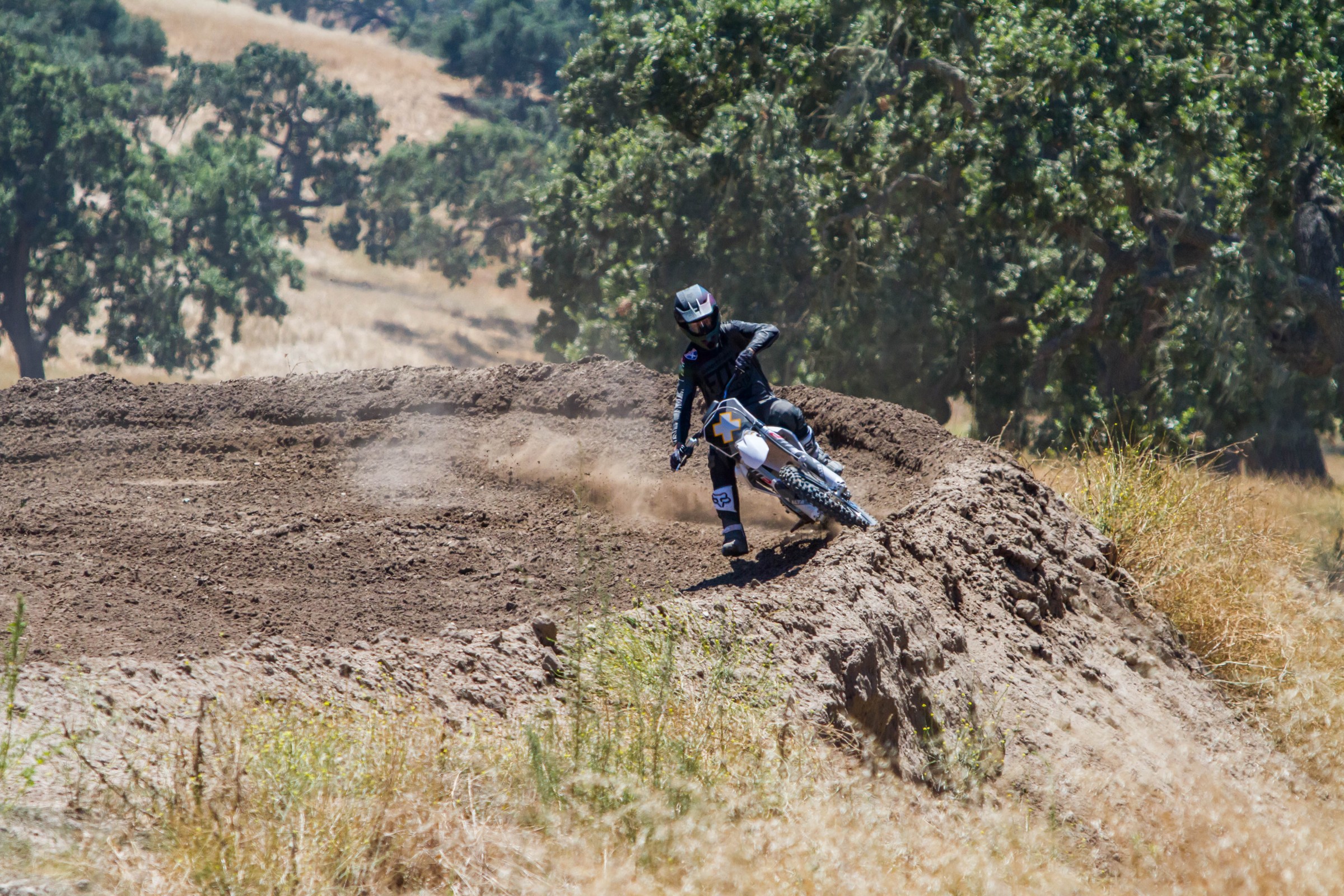 2017-07-25_kScott_Fox-Zaca_98_web