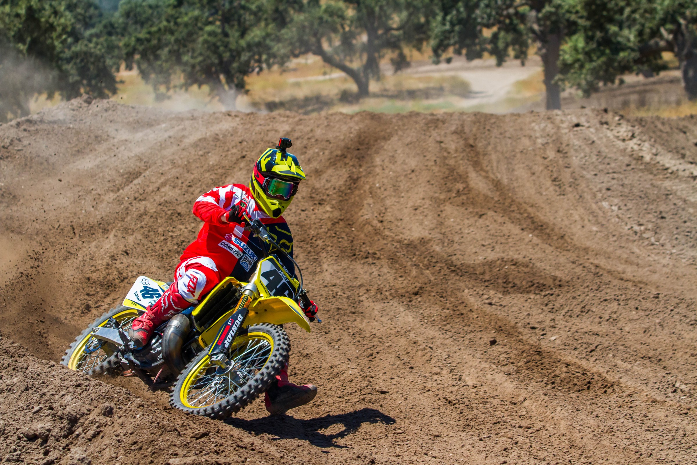 2017-07-25_kScott_Fox-Zaca_96_web