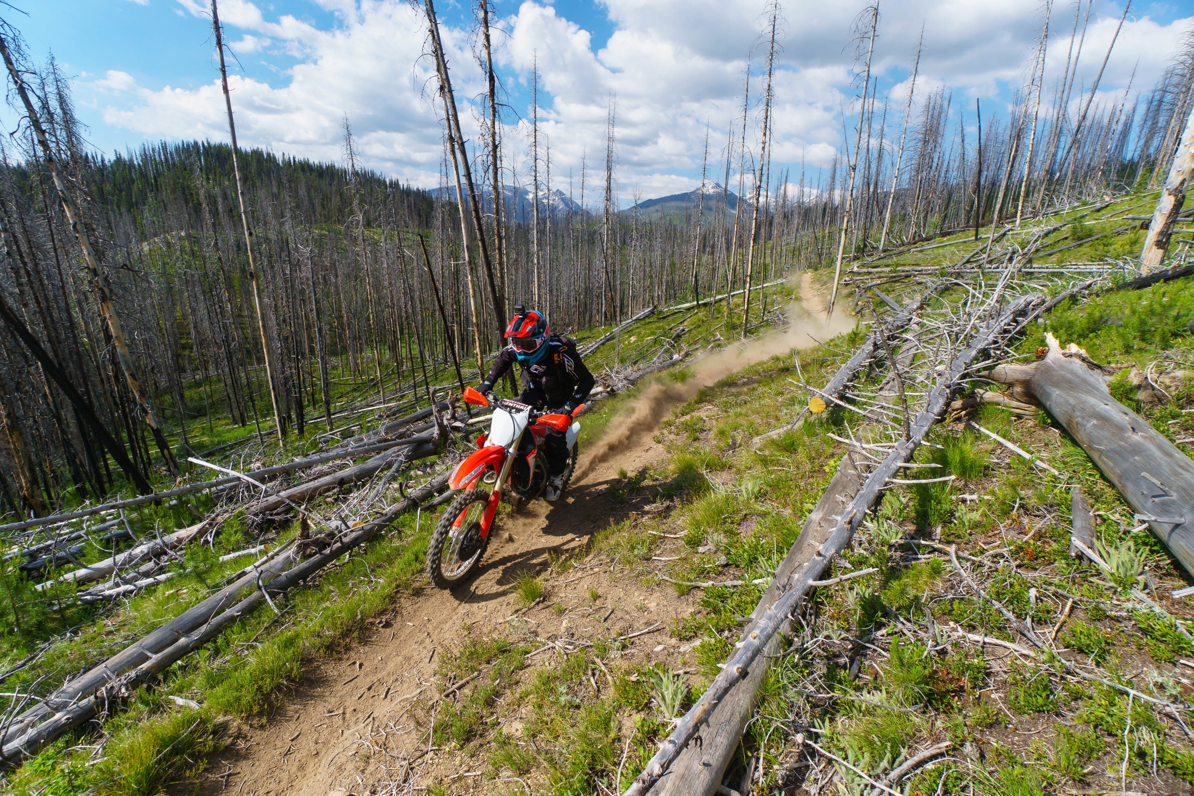 FLYJune17-Cudby-0027