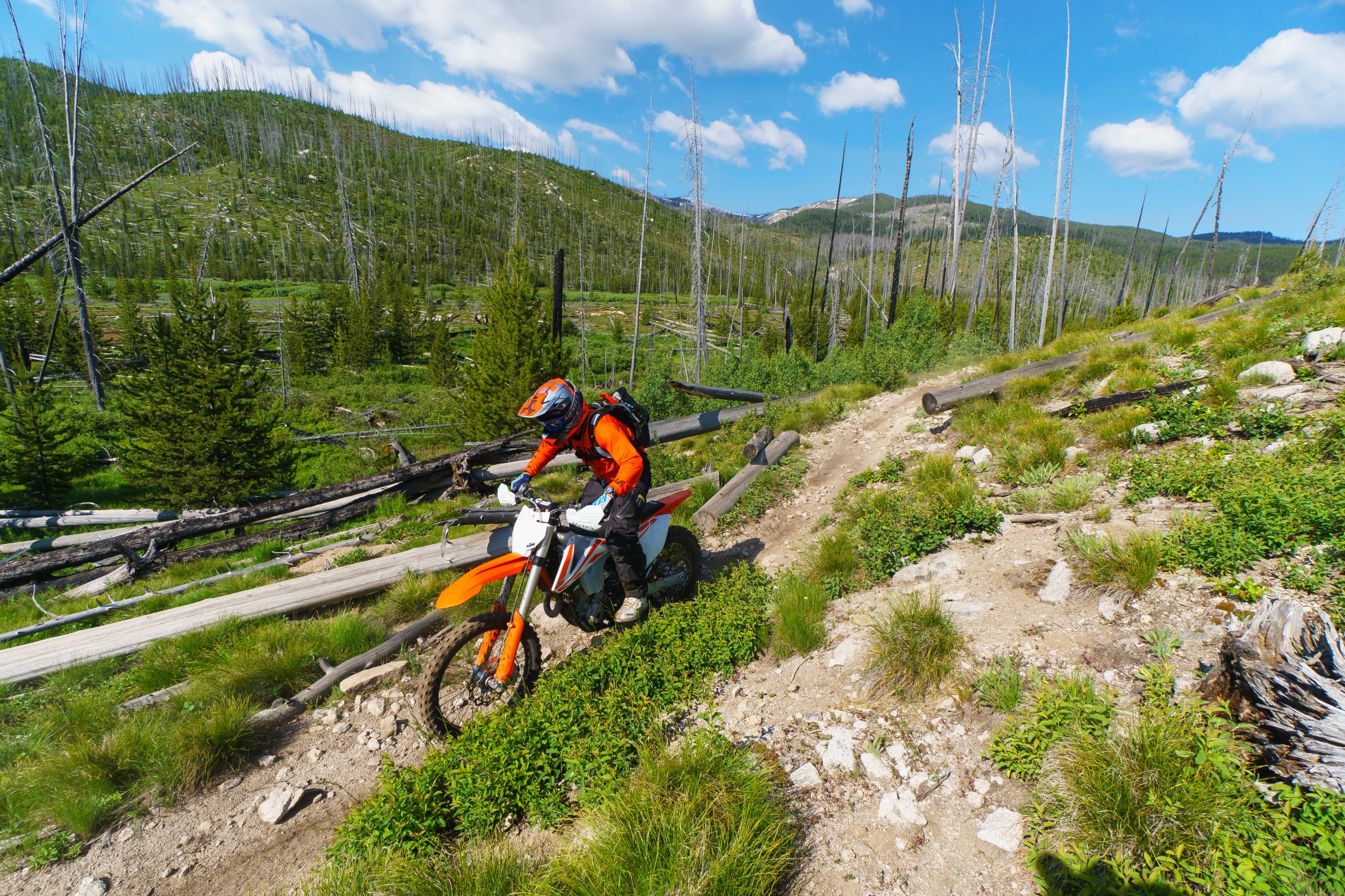 FLYJune17-Cudby-0025