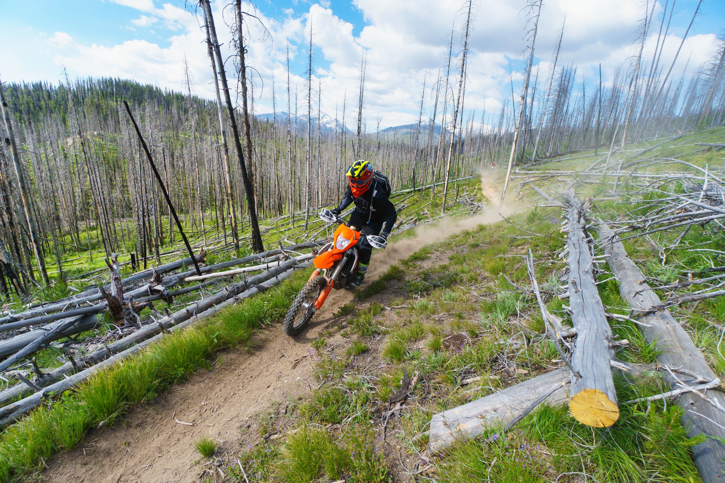 FLYJune17-Cudby-0028