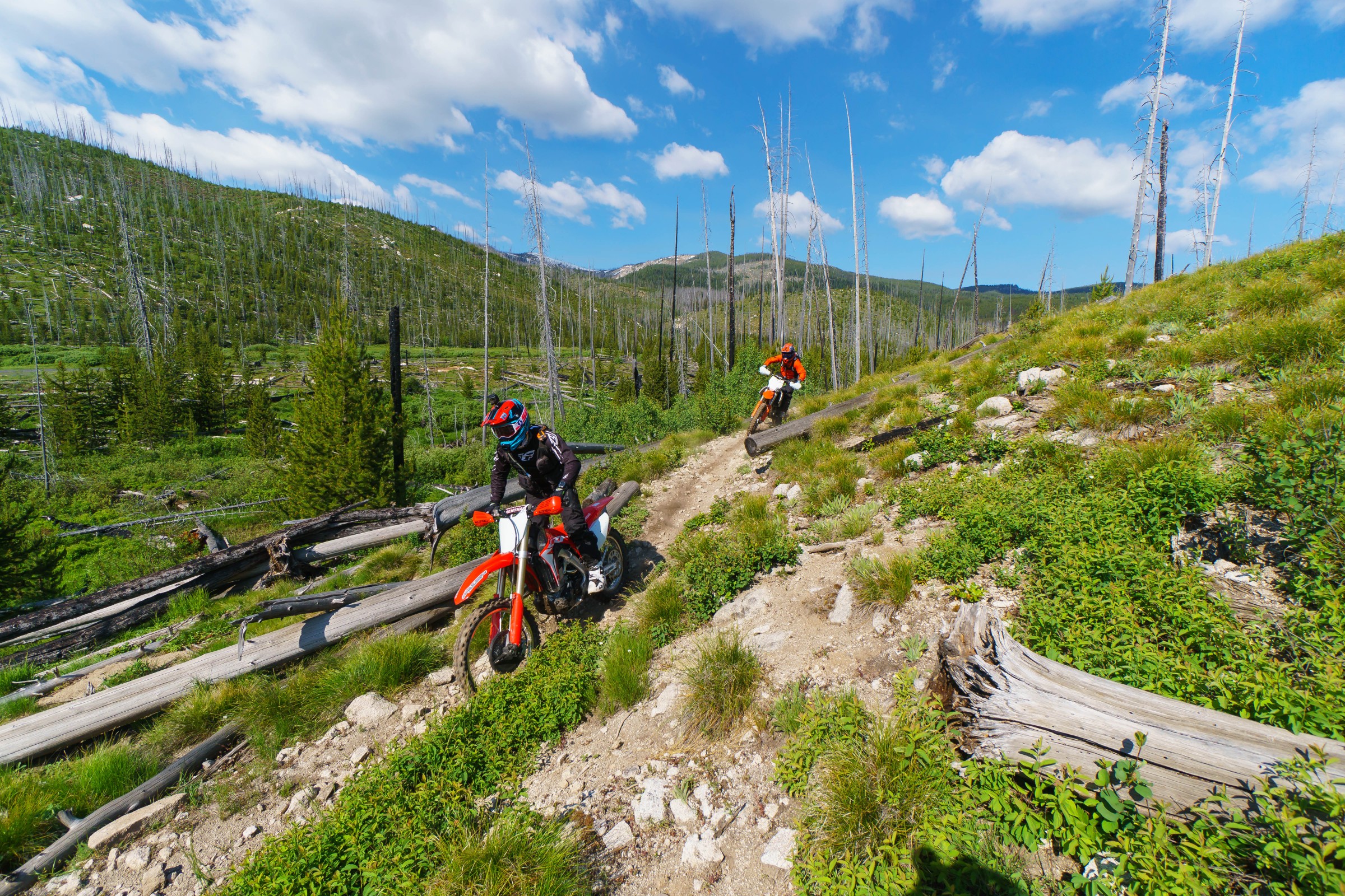 FLYJune17-Cudby-0024