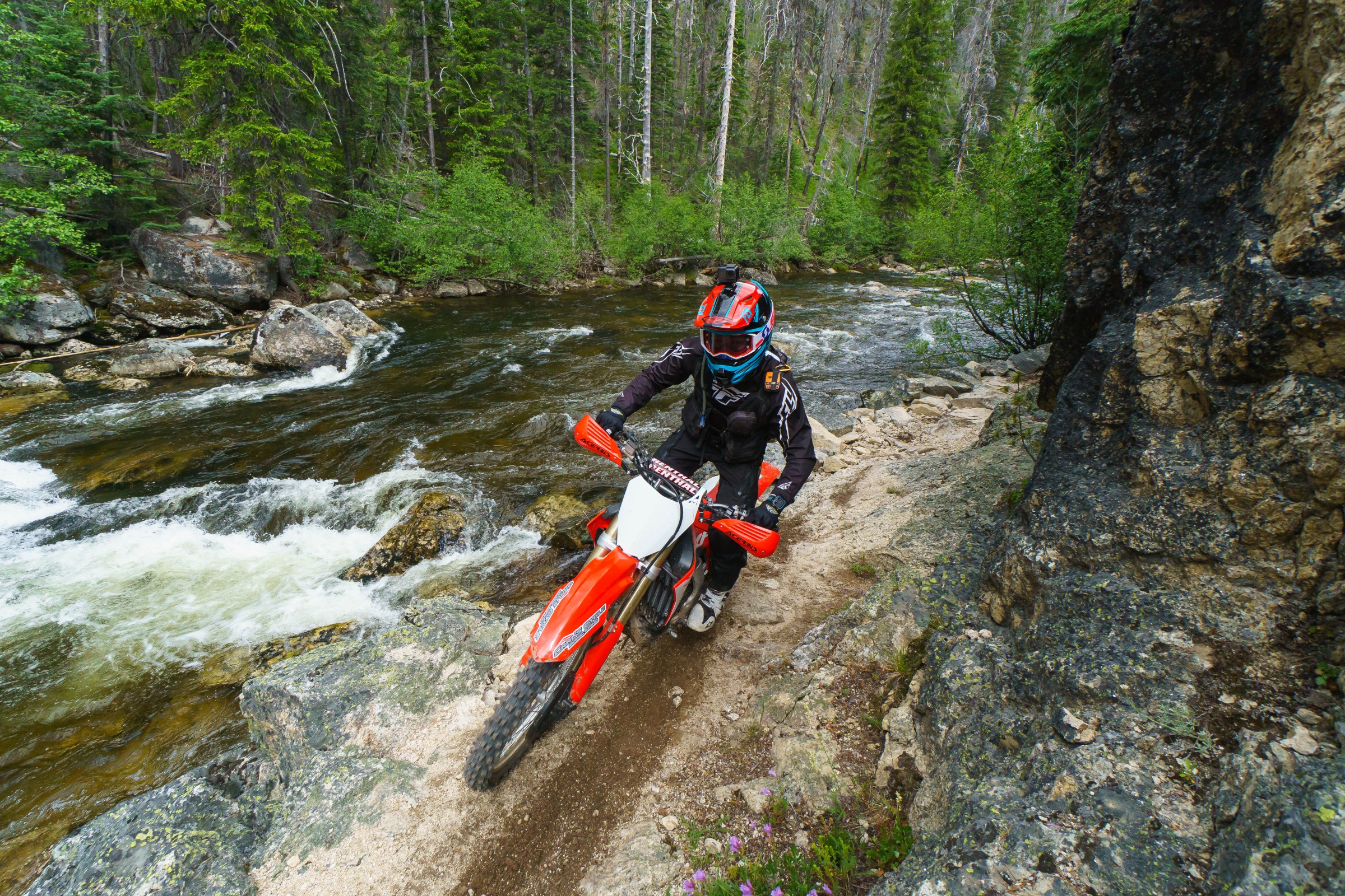 FLYJune17-Cudby-0031