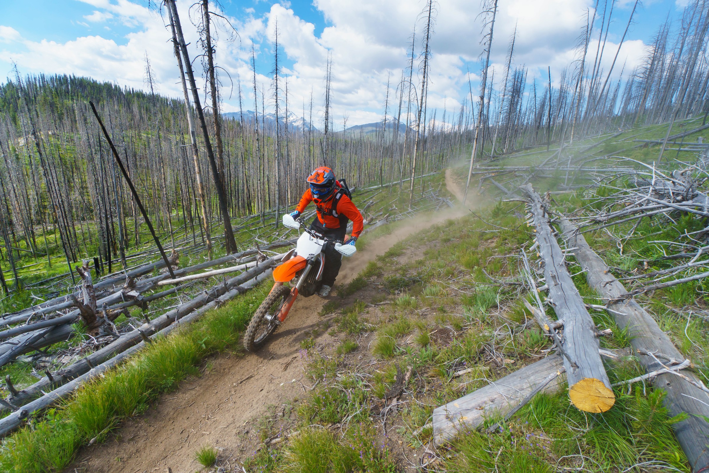 FLYJune17-Cudby-0029