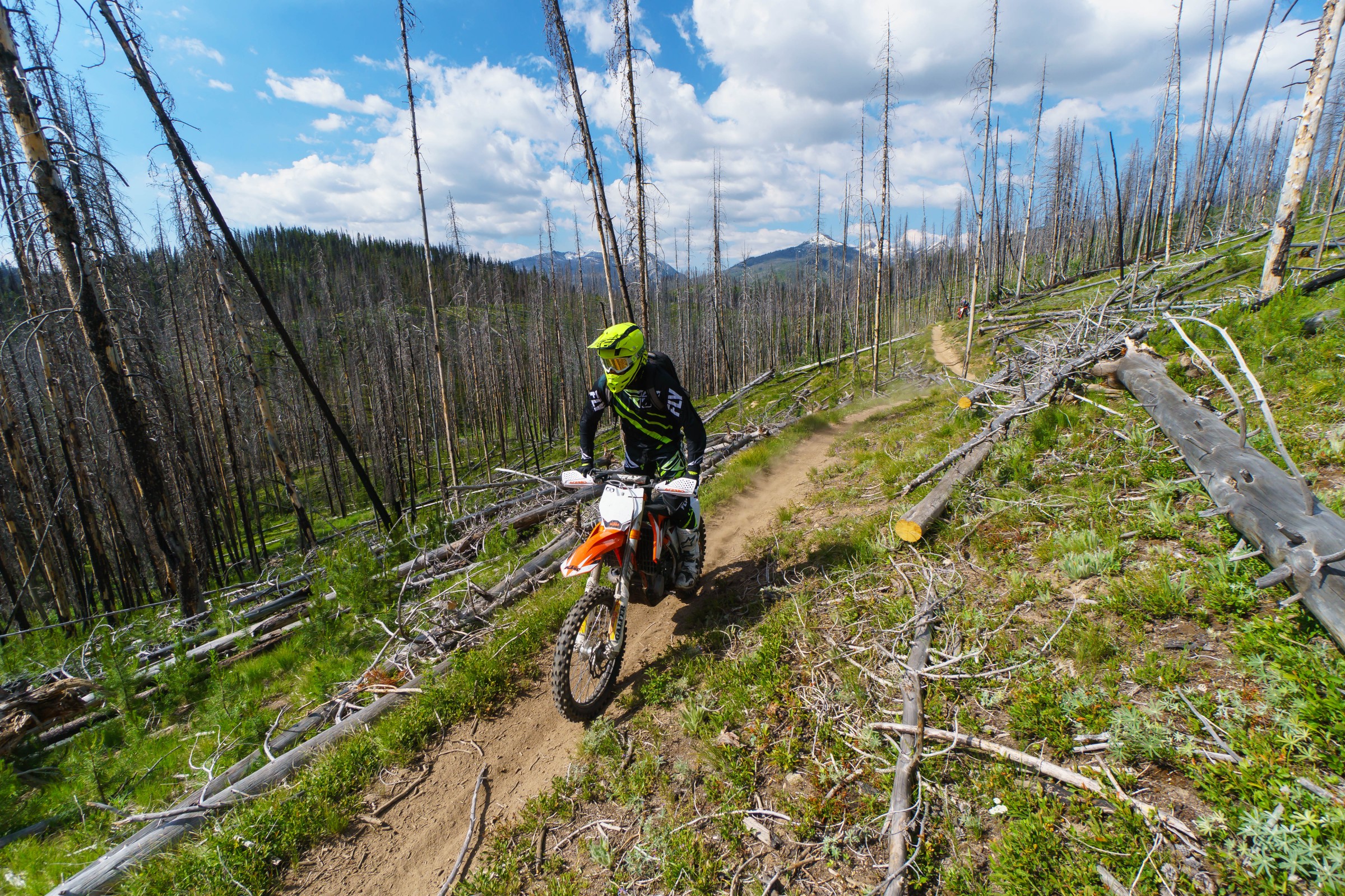 FLYJune17-Cudby-0026