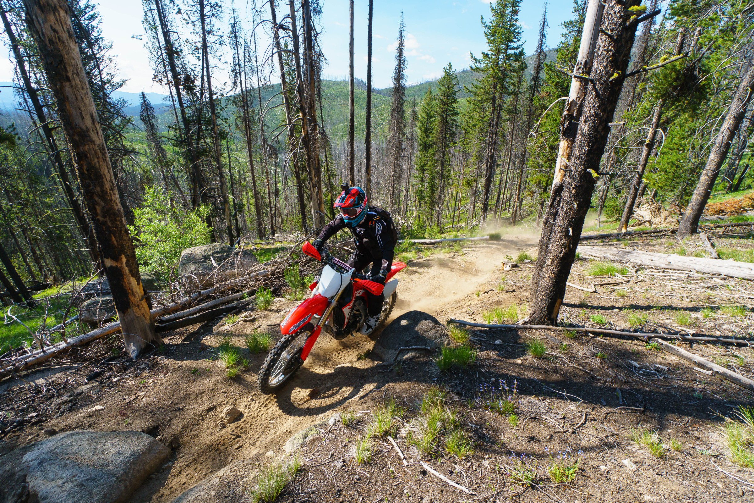 FLYJune17-Cudby-0022