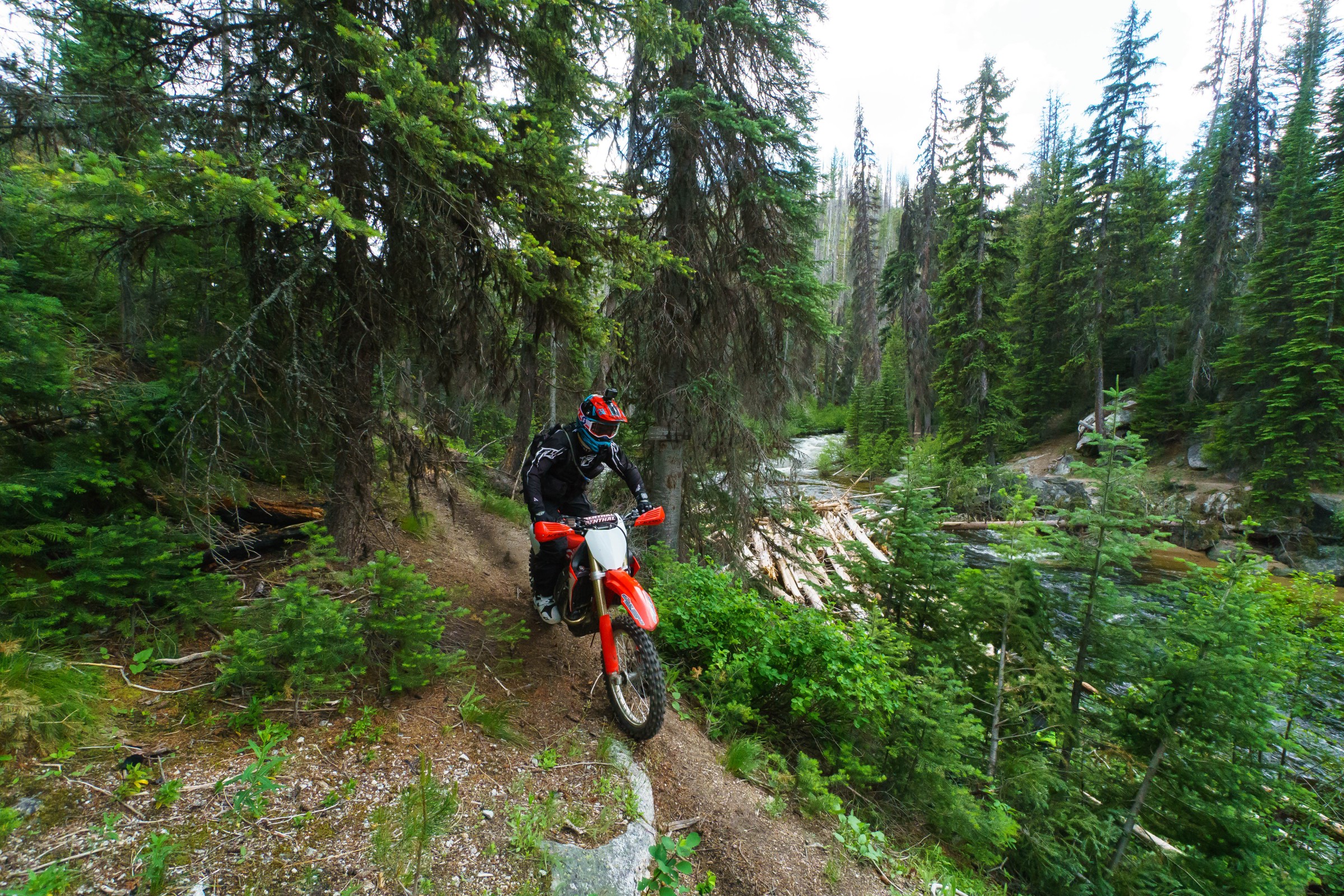 FLYJune17-Cudby-0035