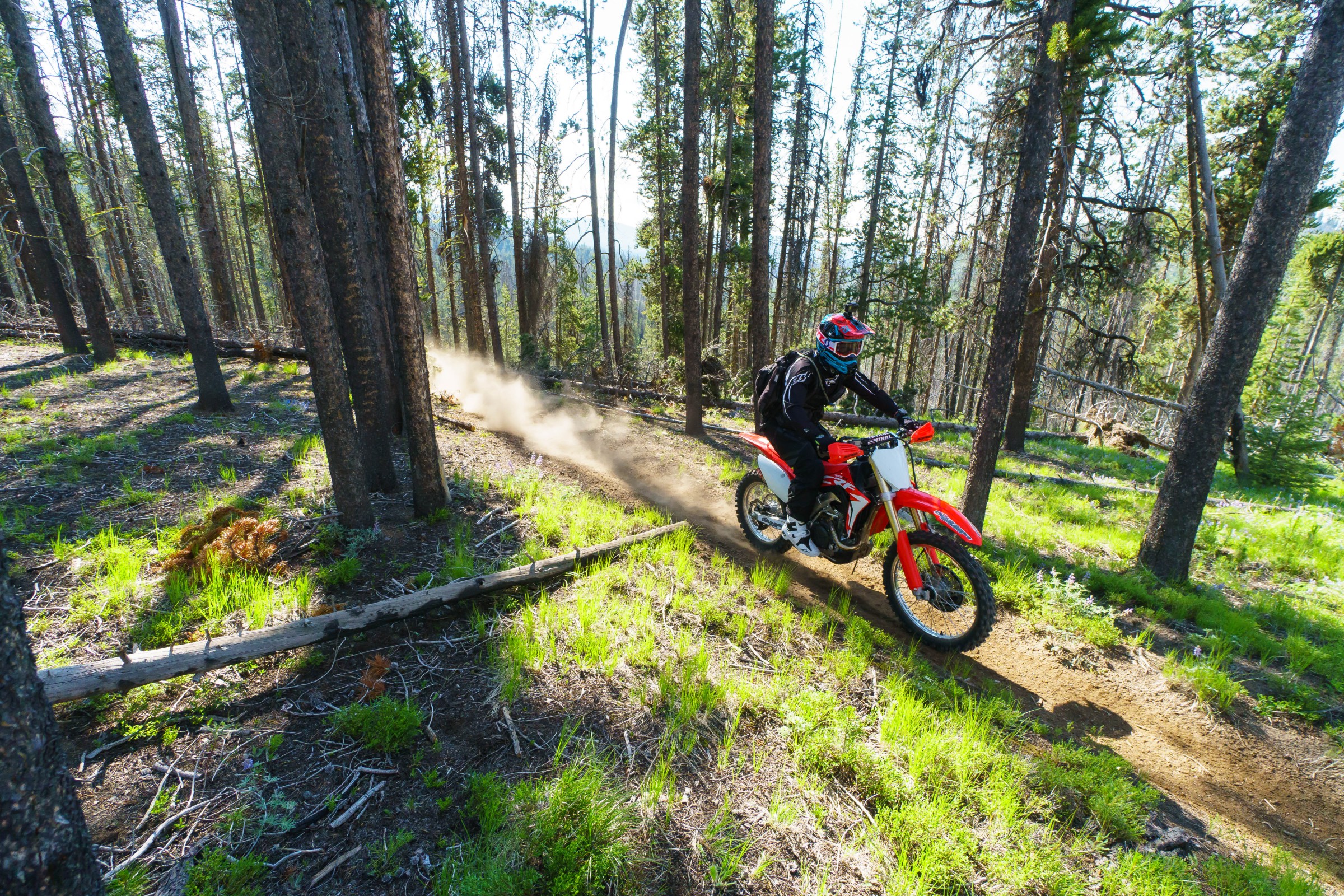 FLYJune17-Cudby-0021