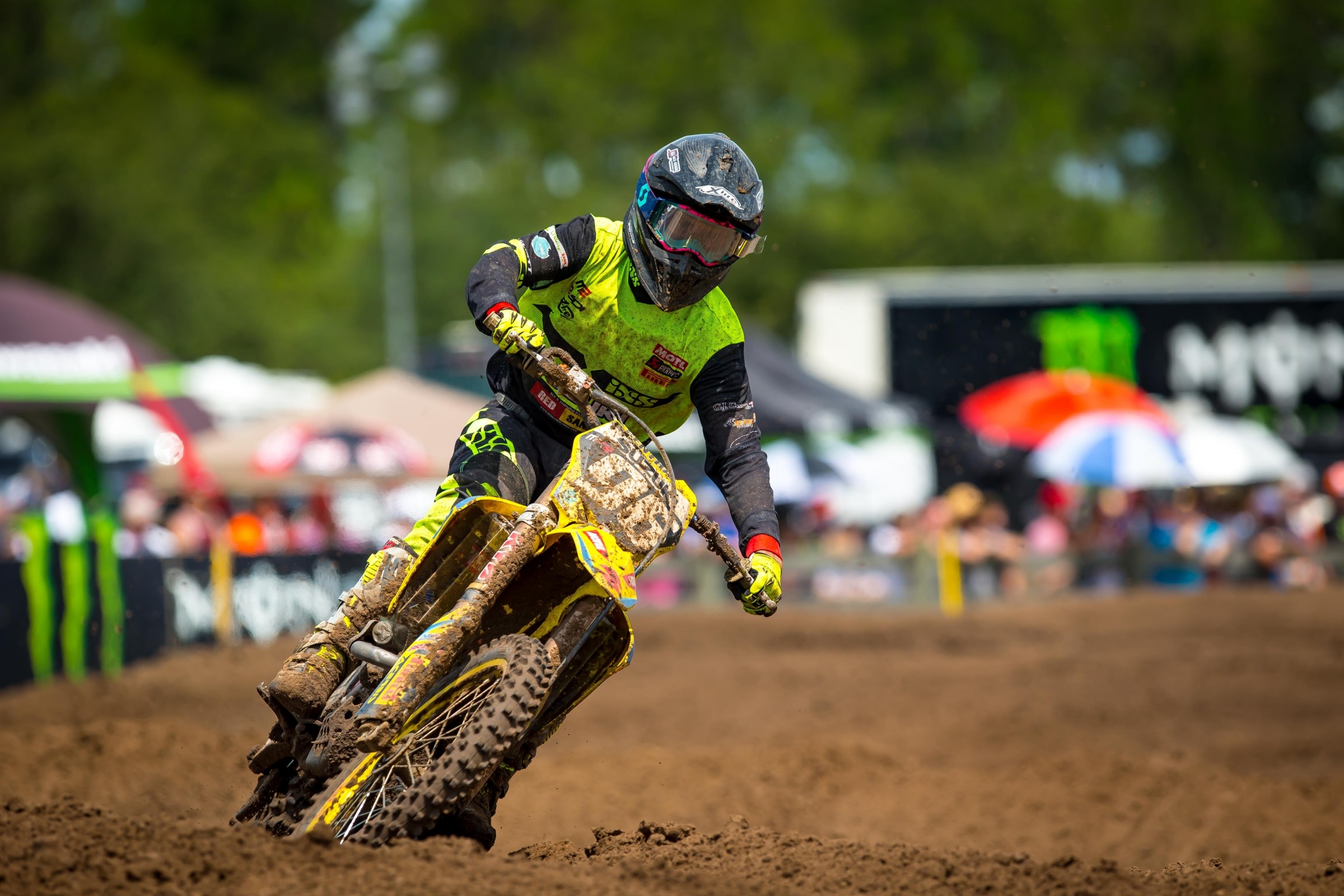 250 Words: The New Australian