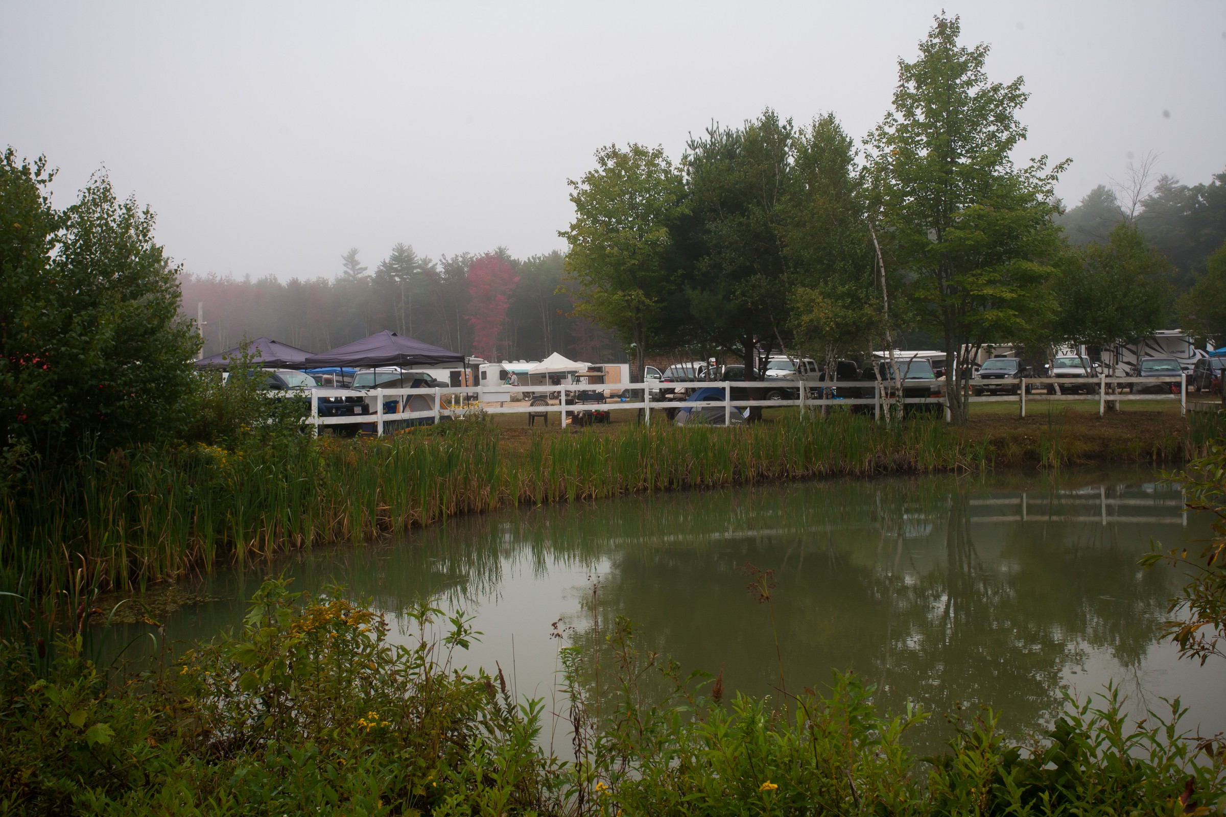 Maine_Event_Saturday_Gallery_2017_Fredrickson-3