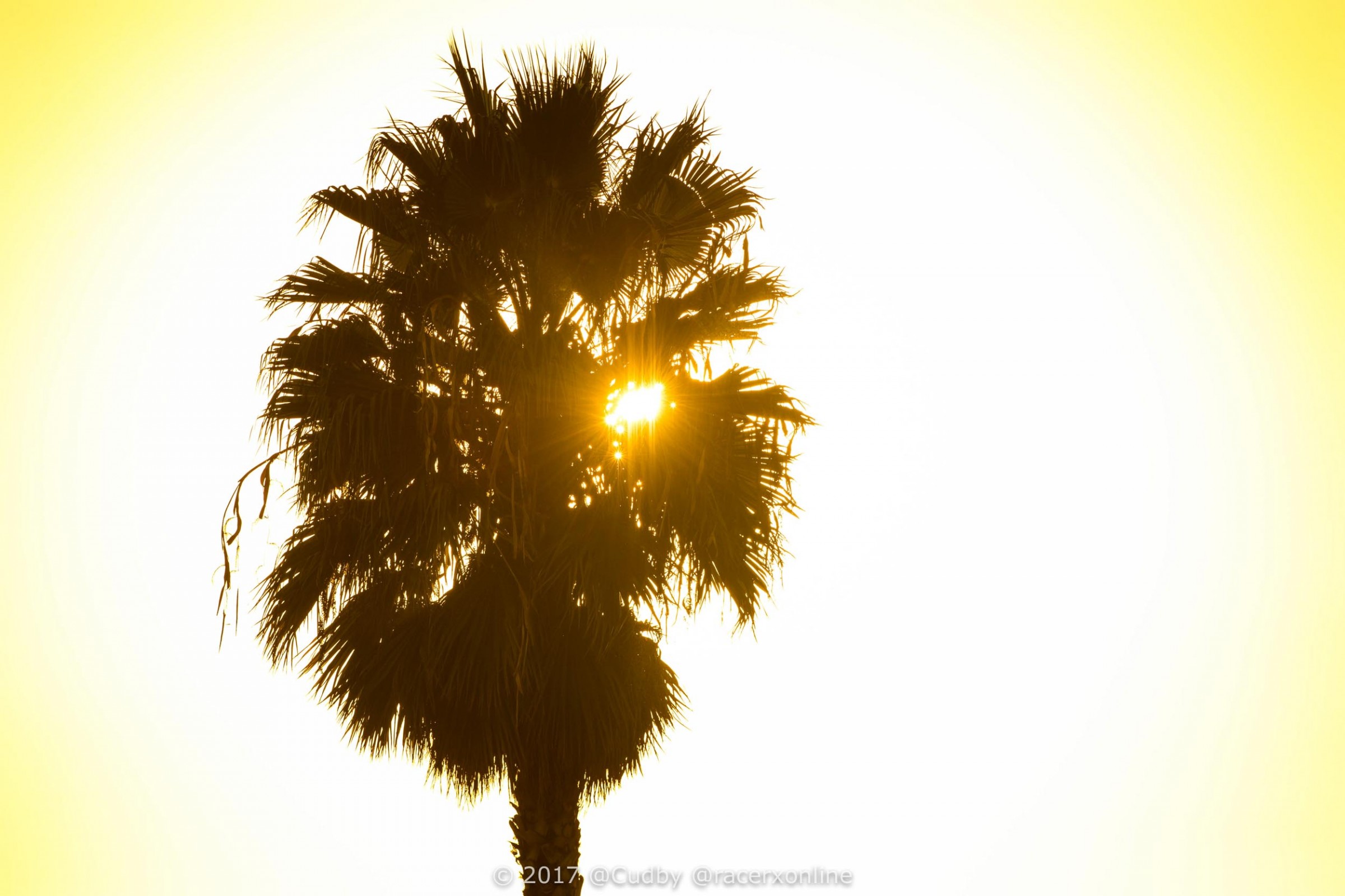 RBStraightRhythm17-Cudby-369