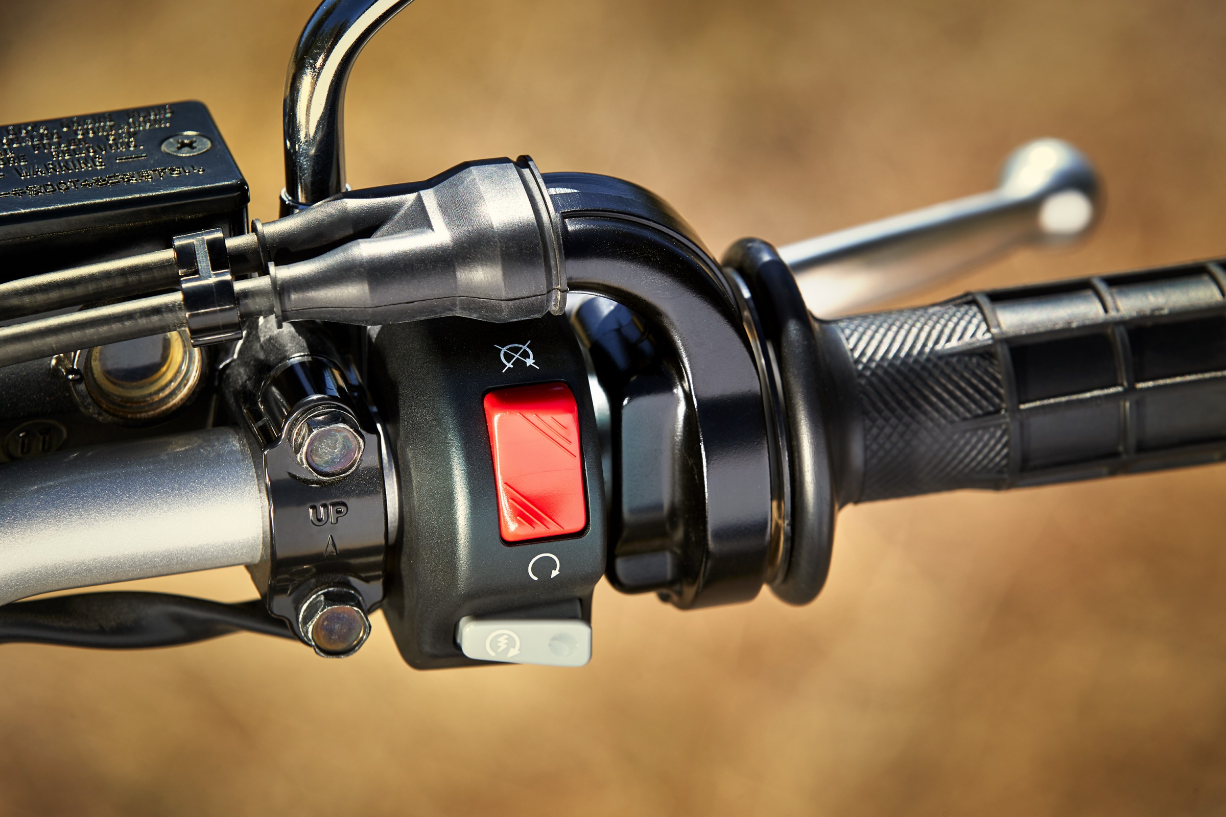 19_TW200_SandyBeige_D06