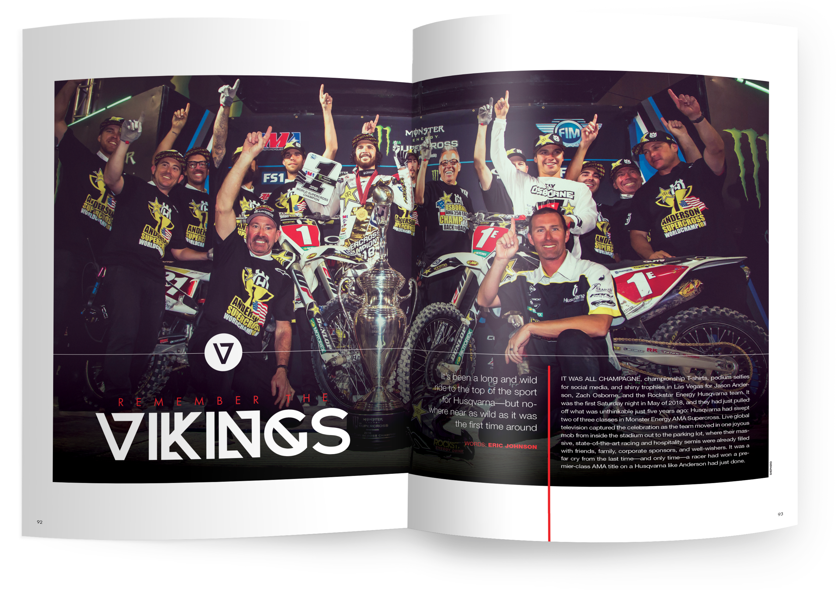 REMEMBER THE VIKINGS