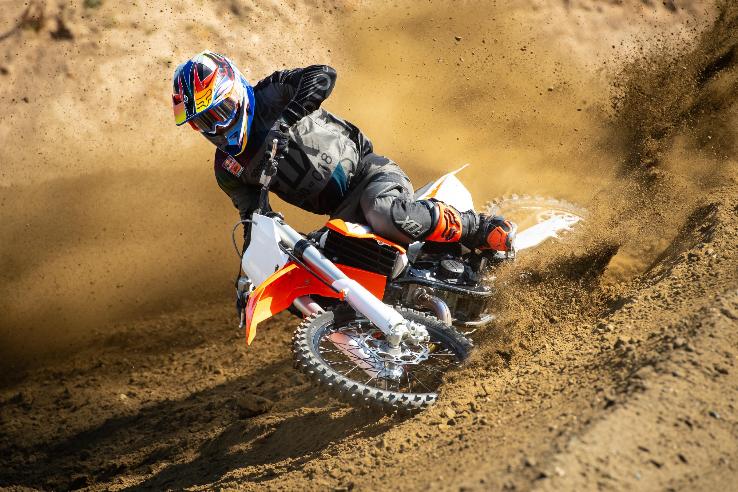 FoxIntro-July18-Cudby-034