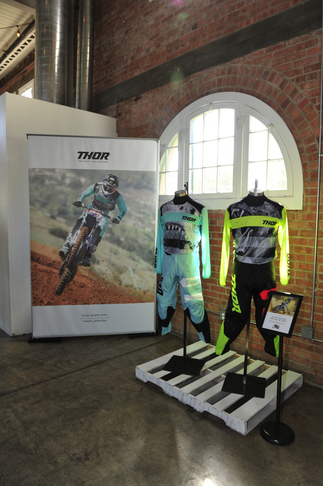 THOR_collection_COX6619