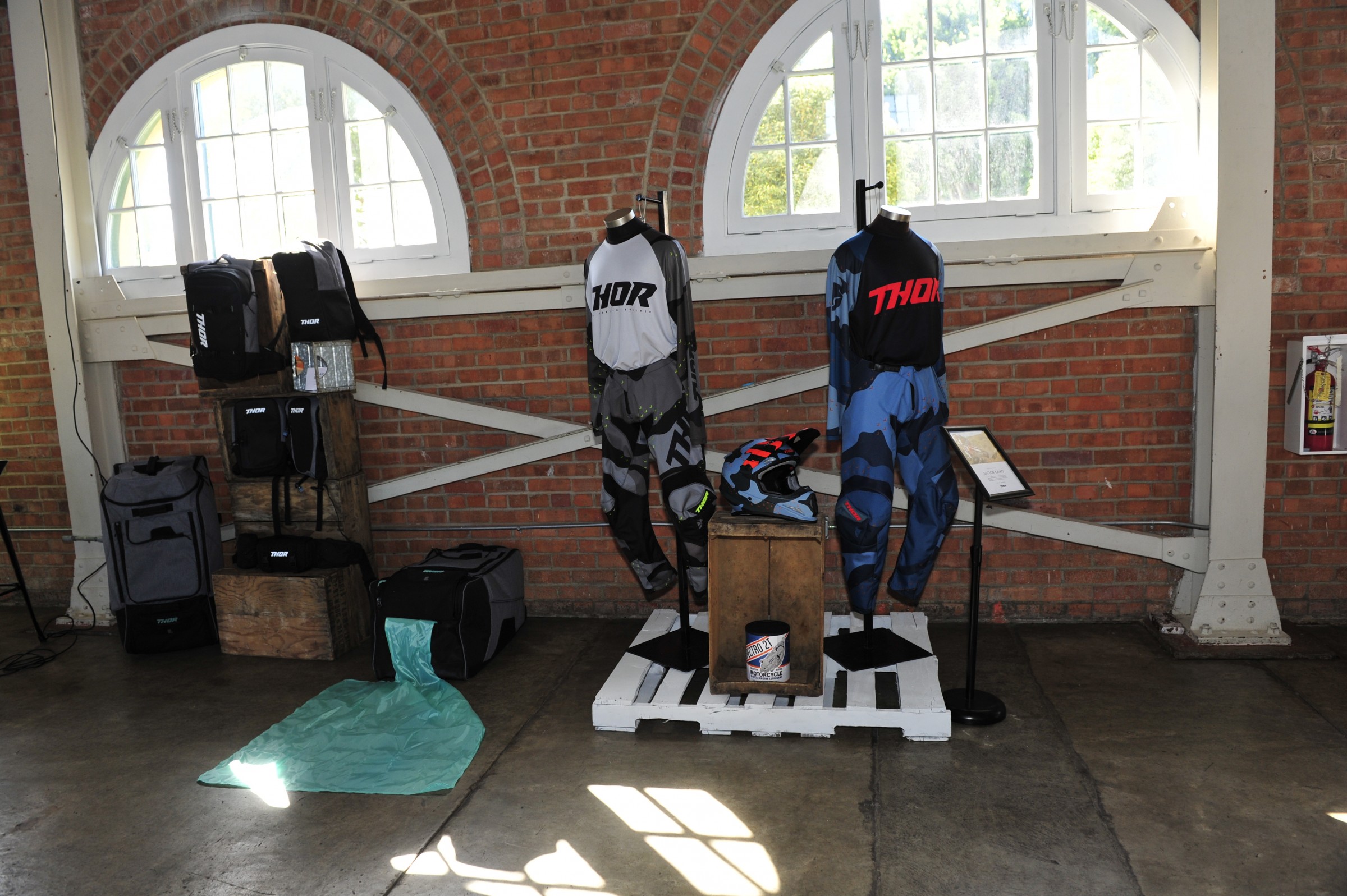 THOR_collection_COX6616