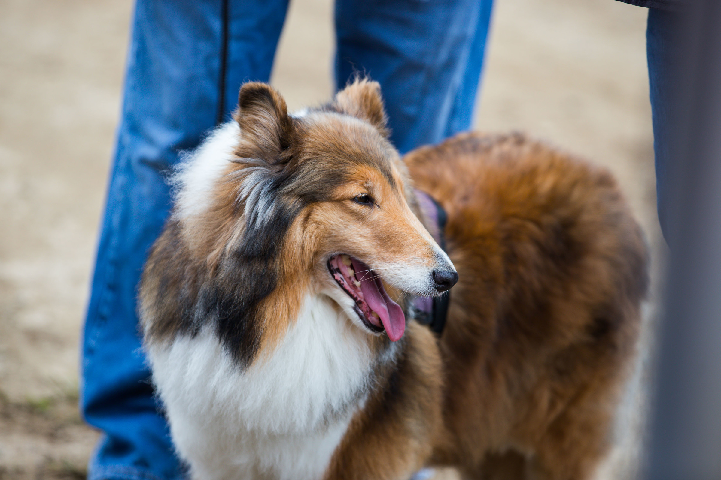 0914-Saturday-Maine_Event_01