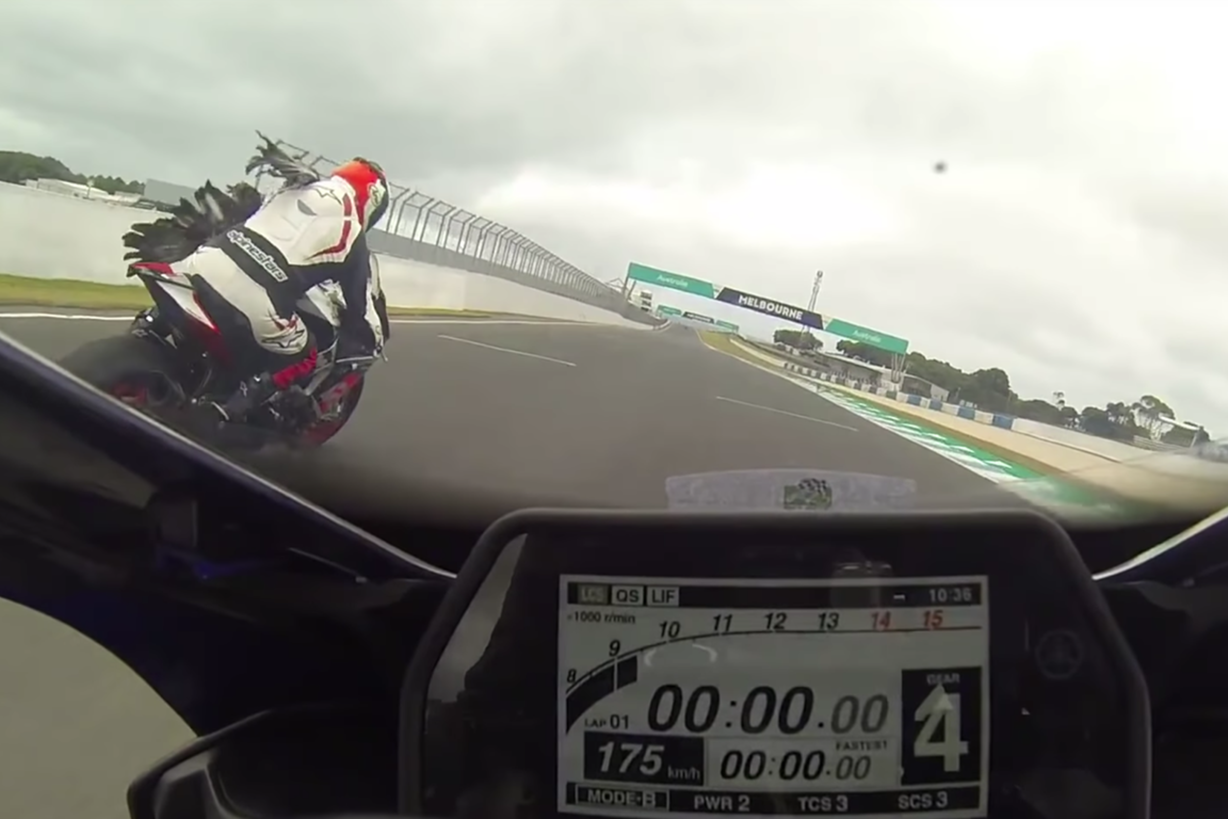 Watch: Goose Takes Out Motorcyclist